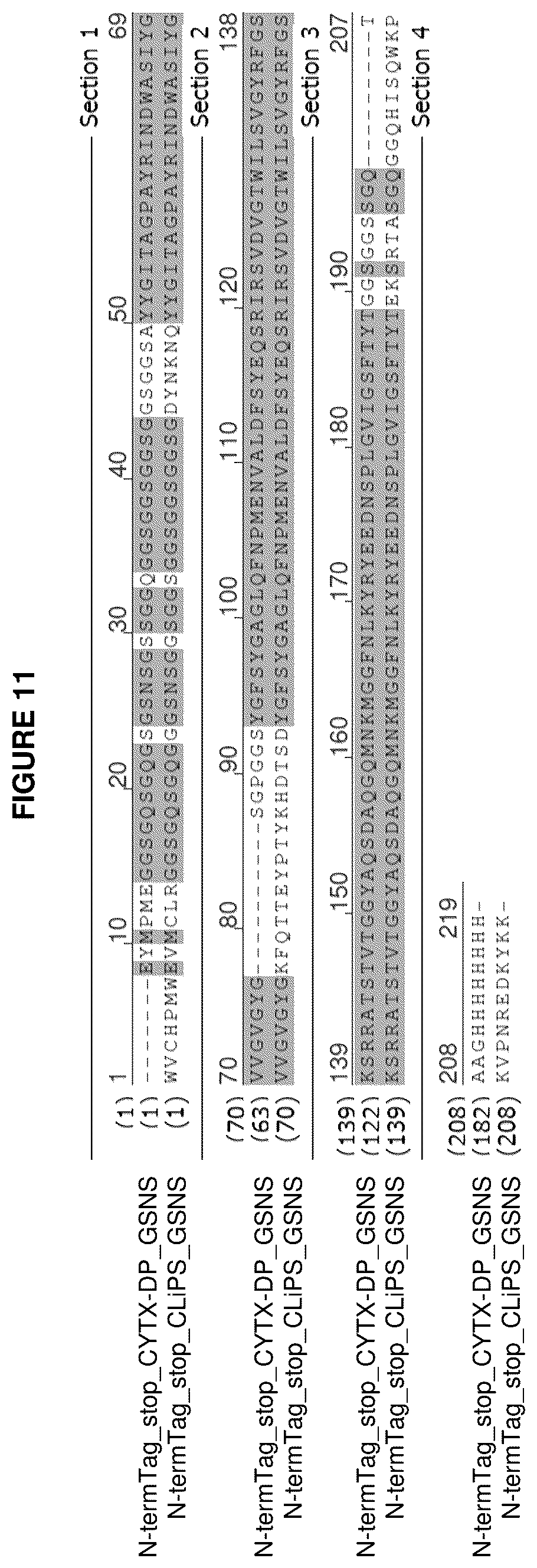 Patent US12139816 Figure 12 – Protease-resistant systems for polypeptide display and methods of making and using thereof
