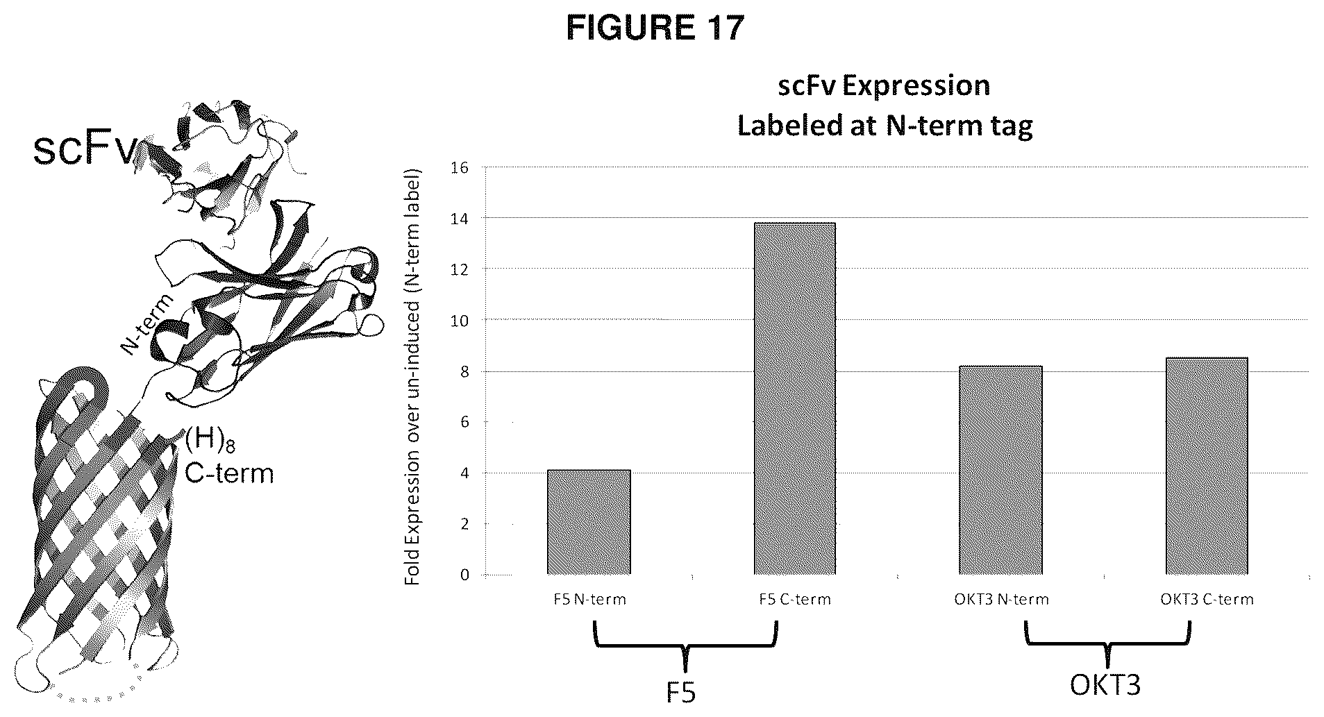 Patent US12139816 Figure 16 – Protease-resistant systems for polypeptide display and methods of making and using thereof
