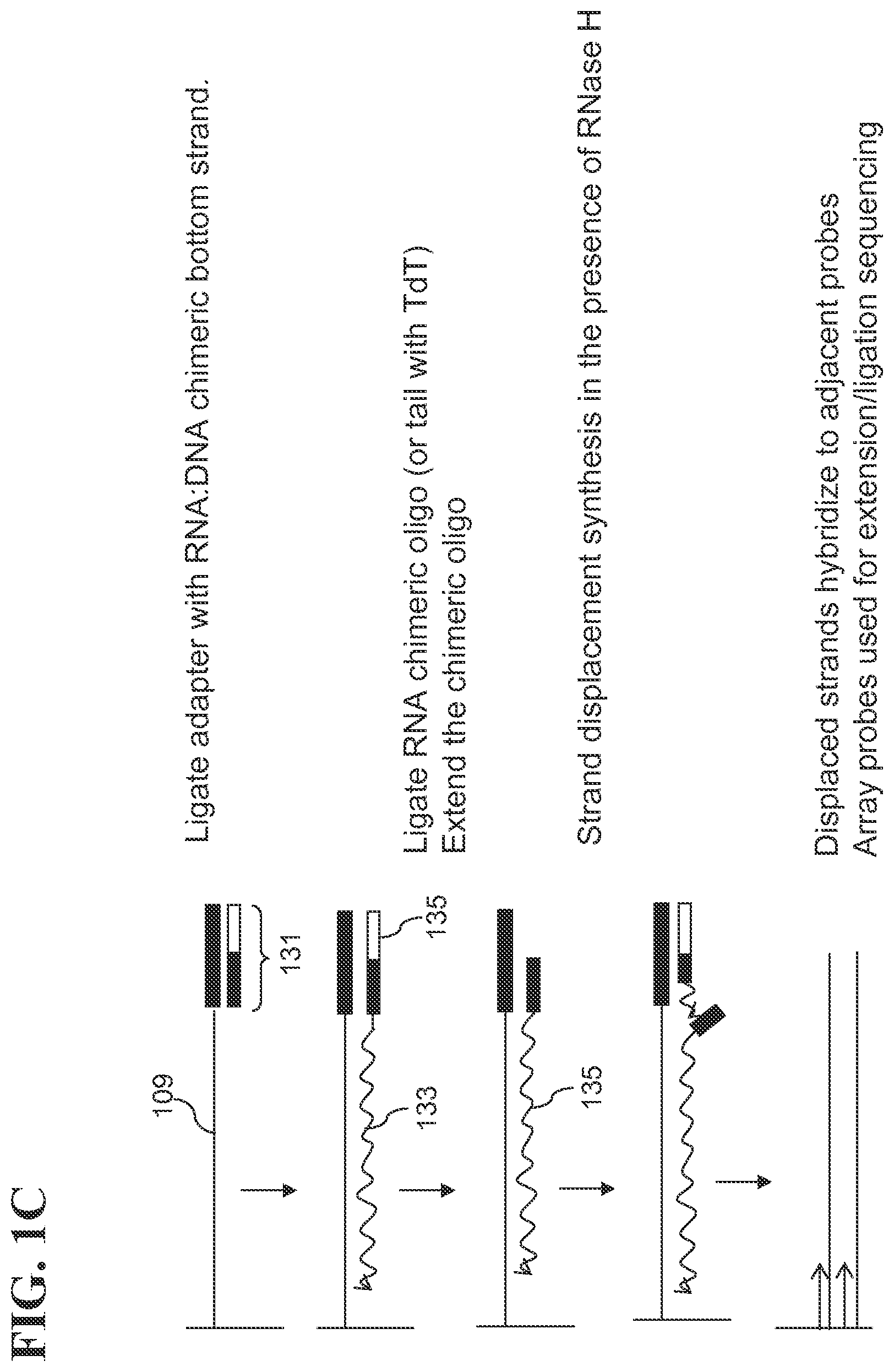 Patent US12139817 Figure 3 – Locus specific amplification using array probes