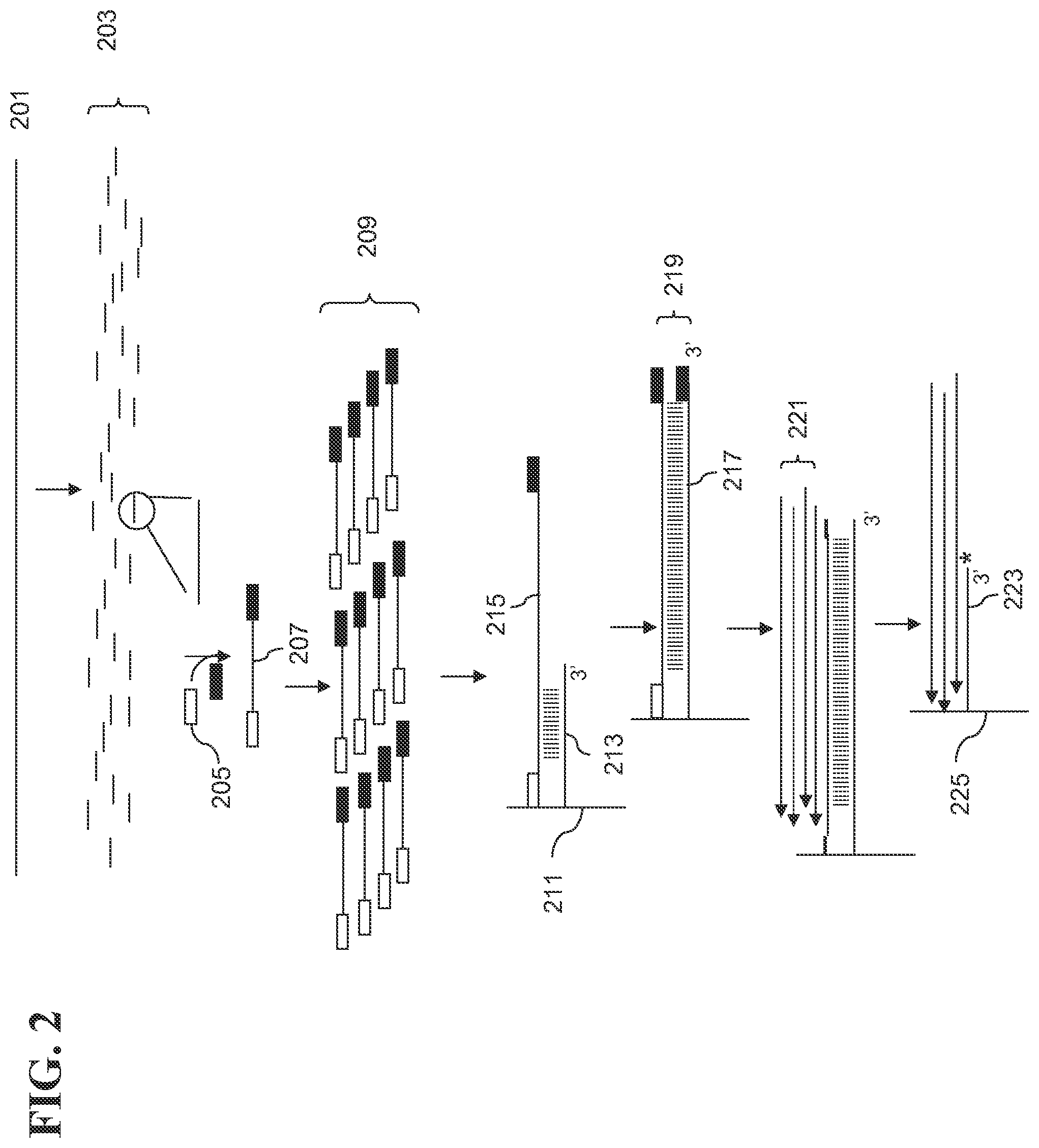 Patent US12139817 Figure 6 – Locus specific amplification using array probes