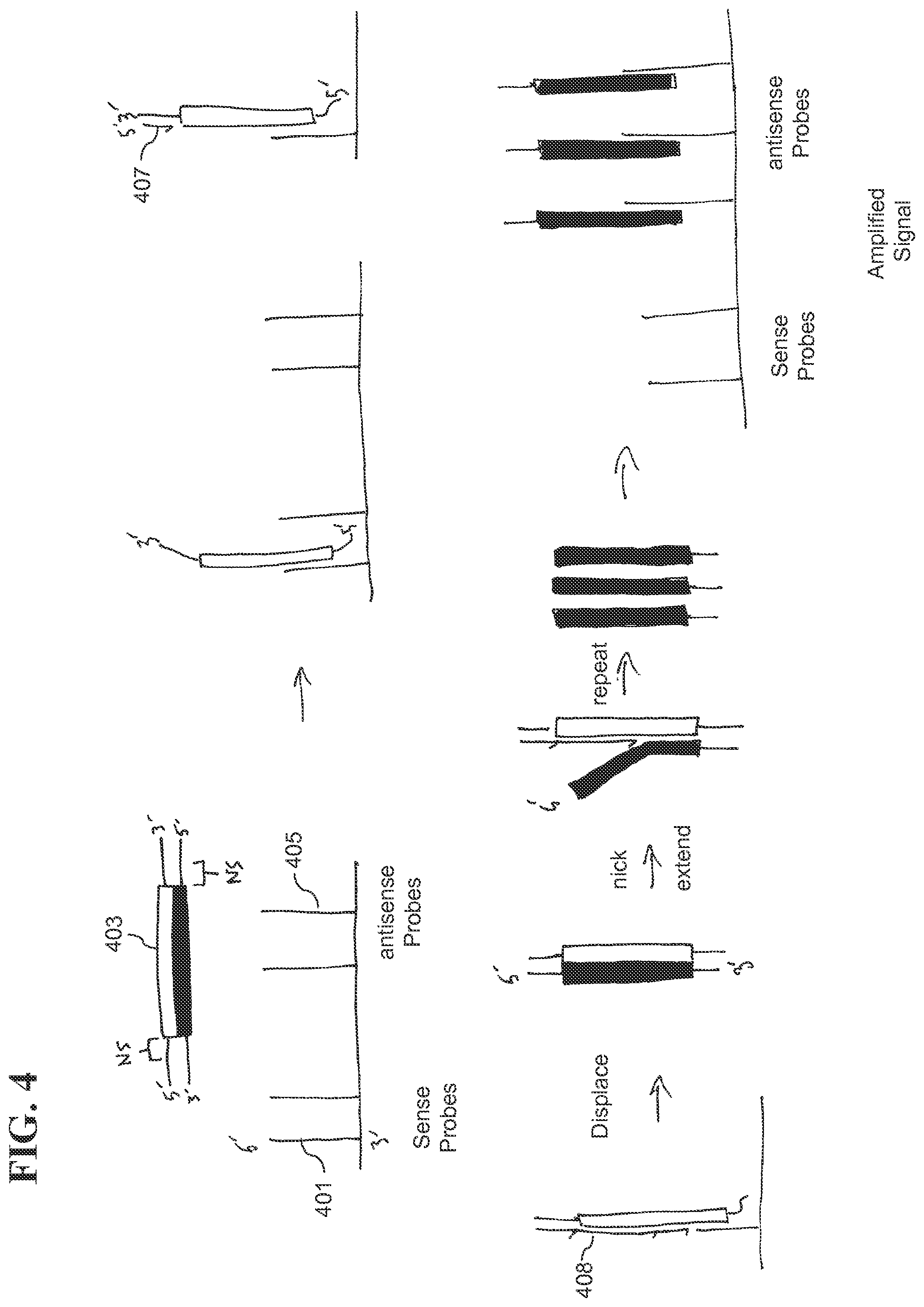 Patent US12139817 Figure 8 – Locus specific amplification using array probes