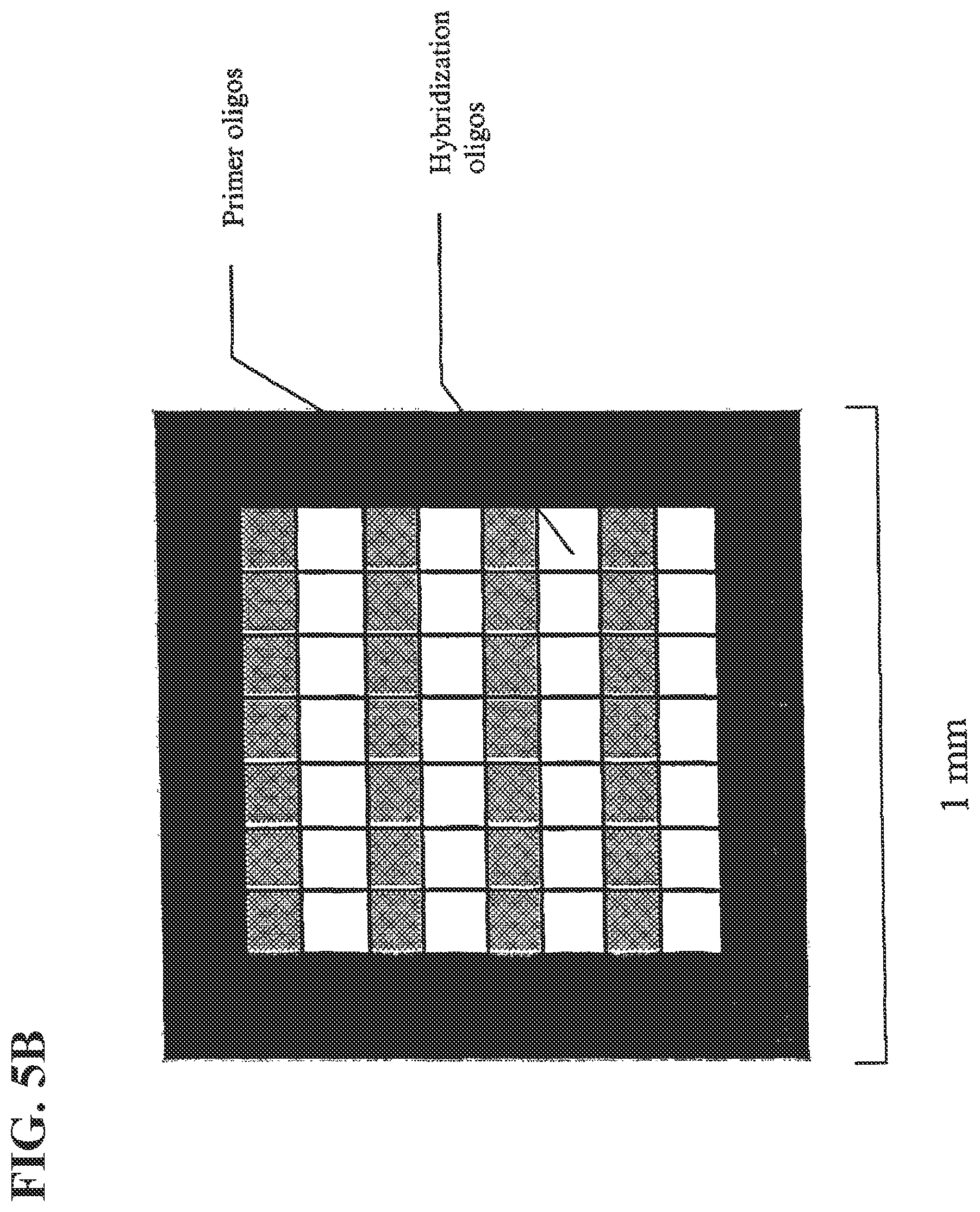 Patent US12139817 Figure 10 – Locus specific amplification using array probes