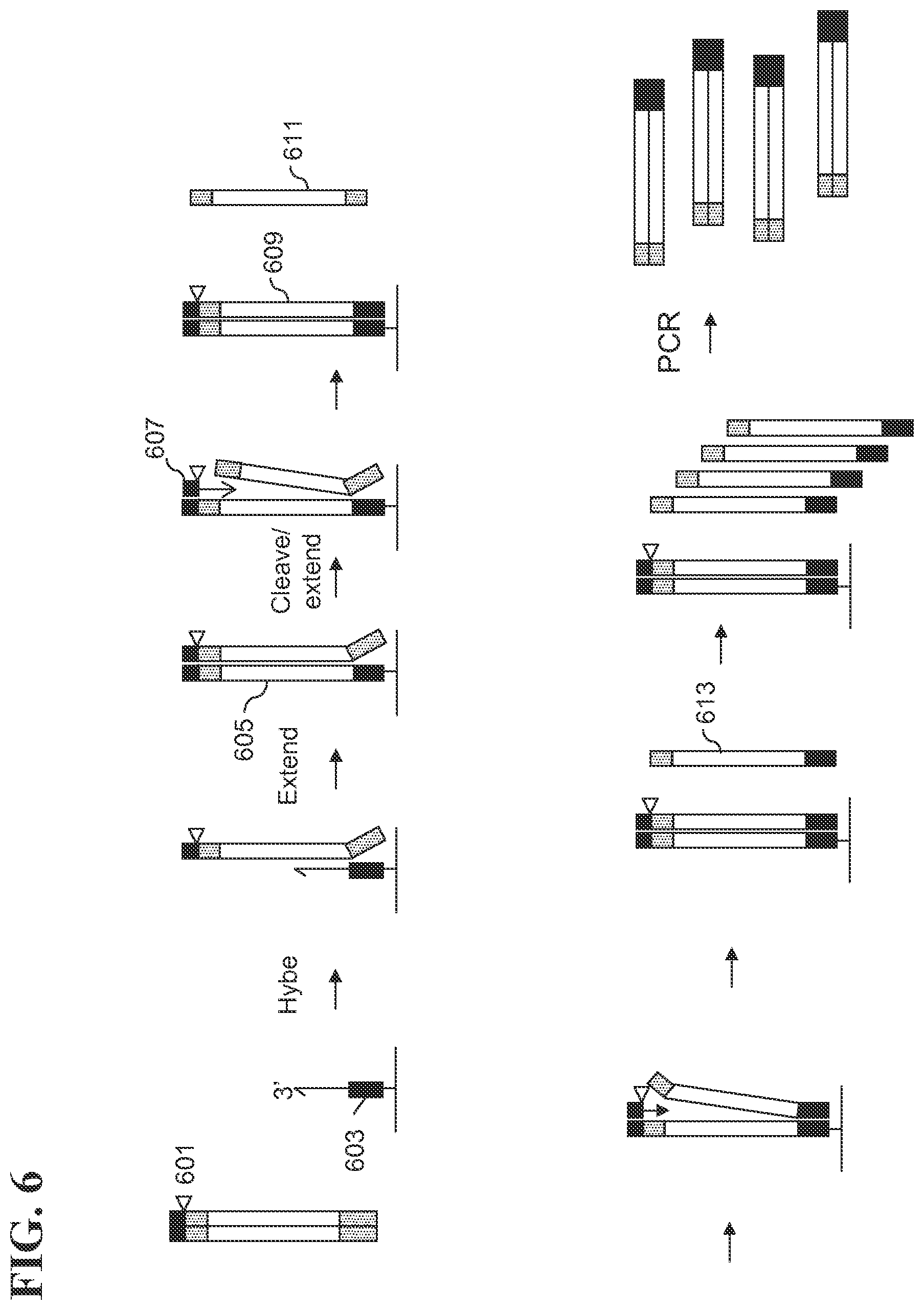 Patent US12139817 Figure 11 – Locus specific amplification using array probes