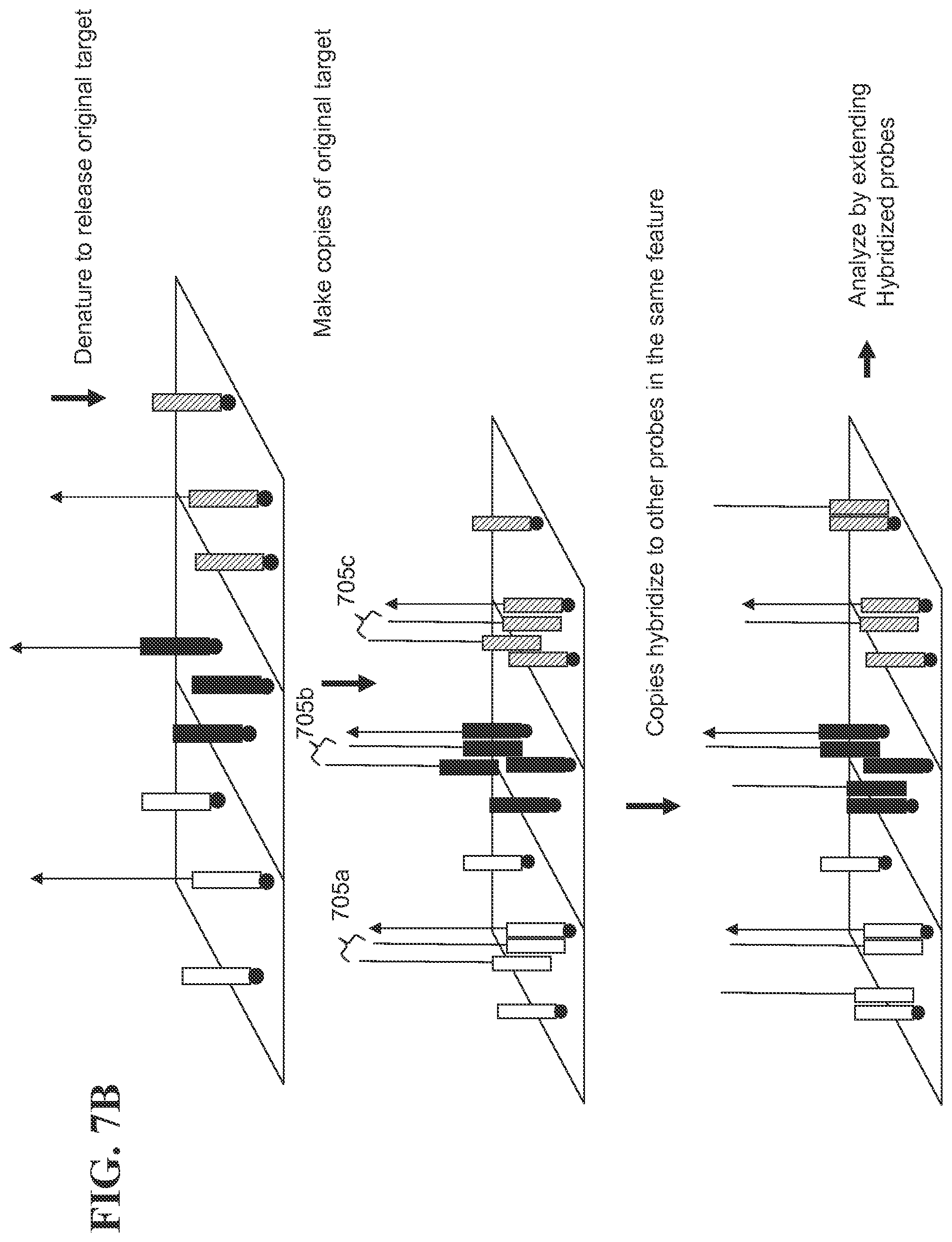 Patent US12139817 Figure 13 – Locus specific amplification using array probes