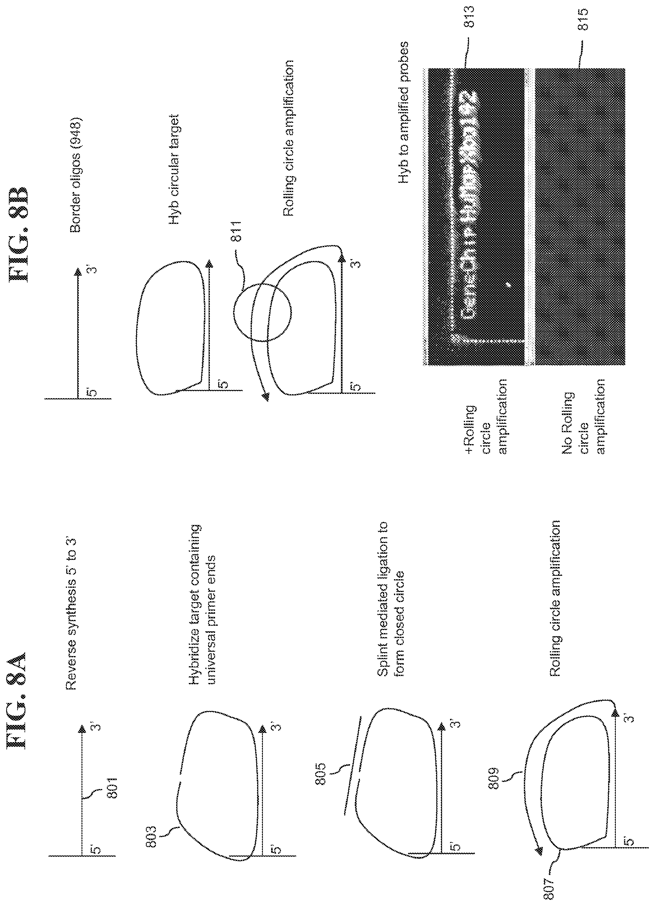 Patent US12139817 Figure 14 – Locus specific amplification using array probes