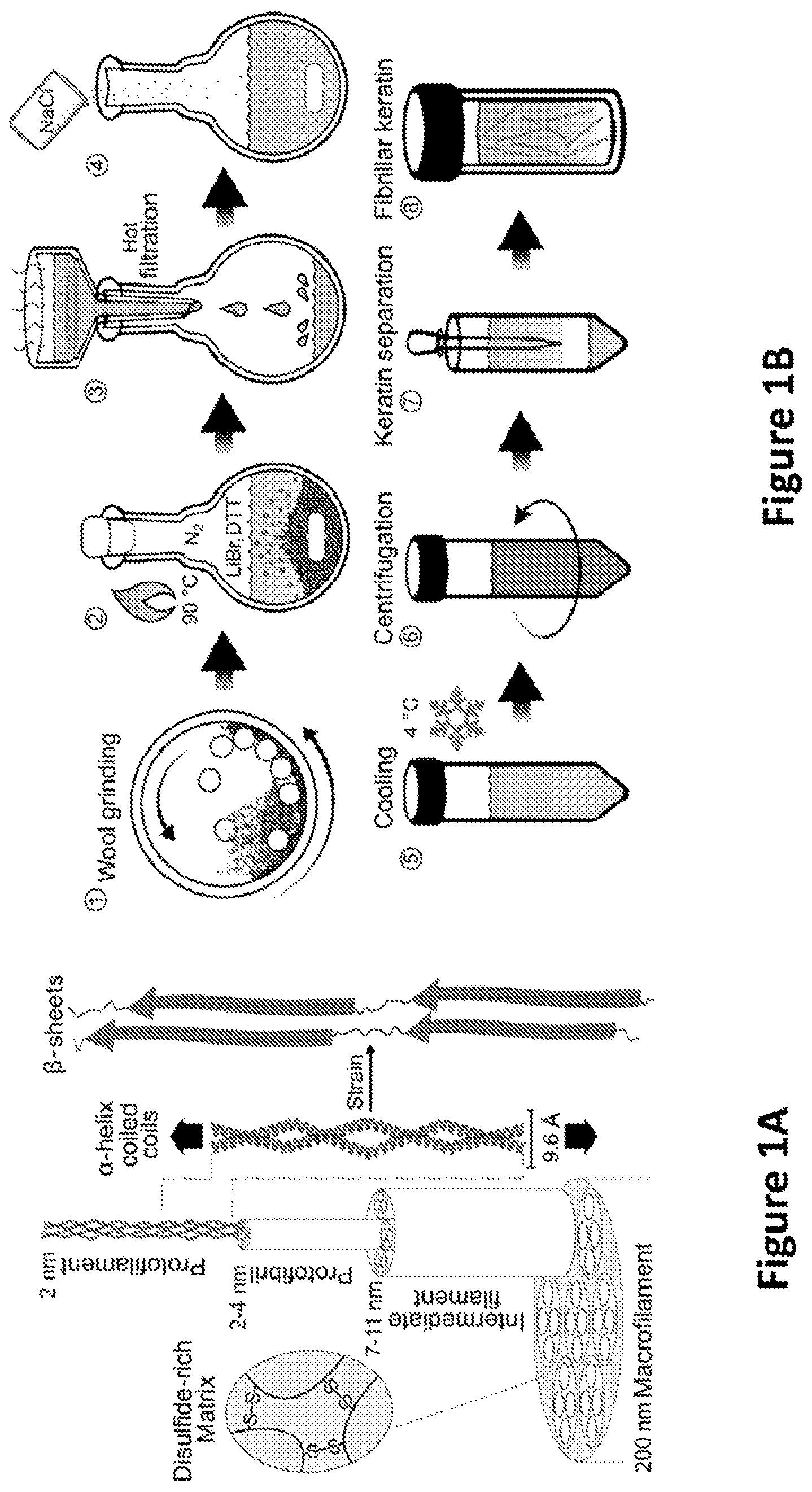 Patent US12139818 — Alpha-keratin solutions comprising alpha-keratin intermediate filaments in liquid crystal phase, methods of preparation, and uses thereof — Figure 1