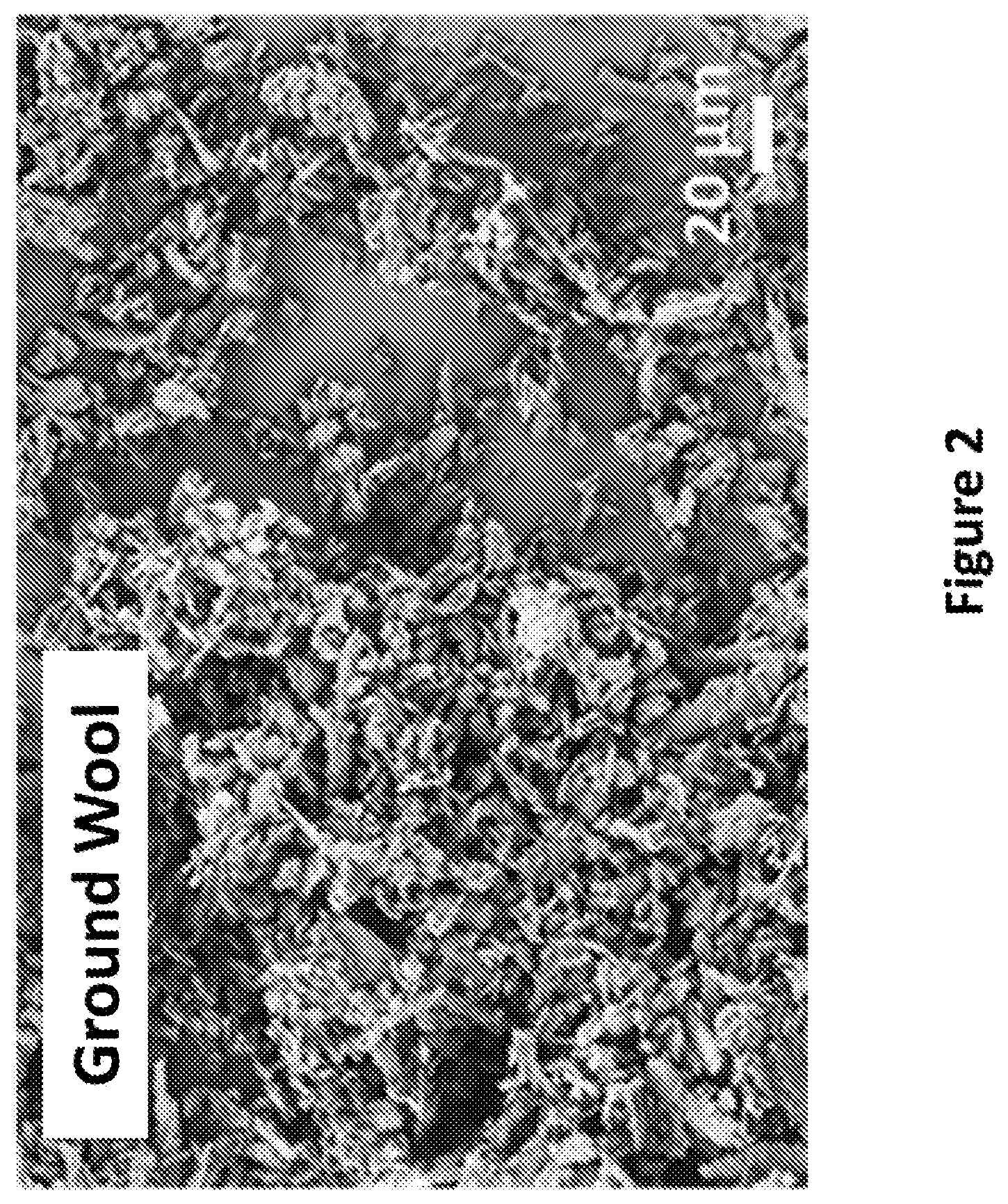 Patent US12139818 Figure 2 – Alpha-keratin solutions comprising alpha-keratin intermediate filaments in liquid crystal phase, methods of preparation, and uses thereof