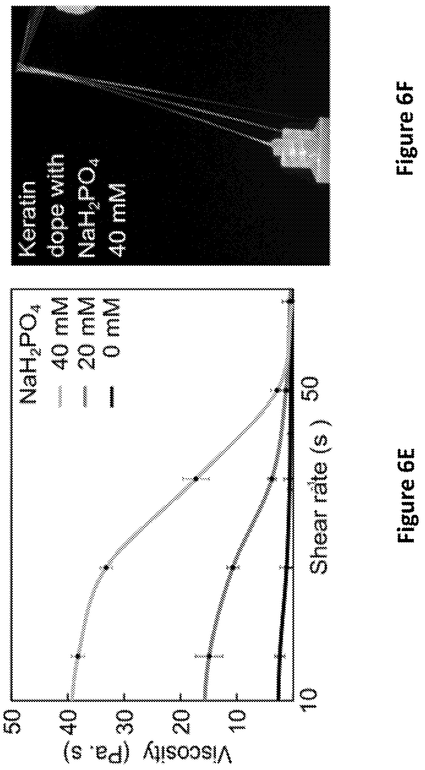 Patent US12139818 Figure 9 – Alpha-keratin solutions comprising alpha-keratin intermediate filaments in liquid crystal phase, methods of preparation, and uses thereof
