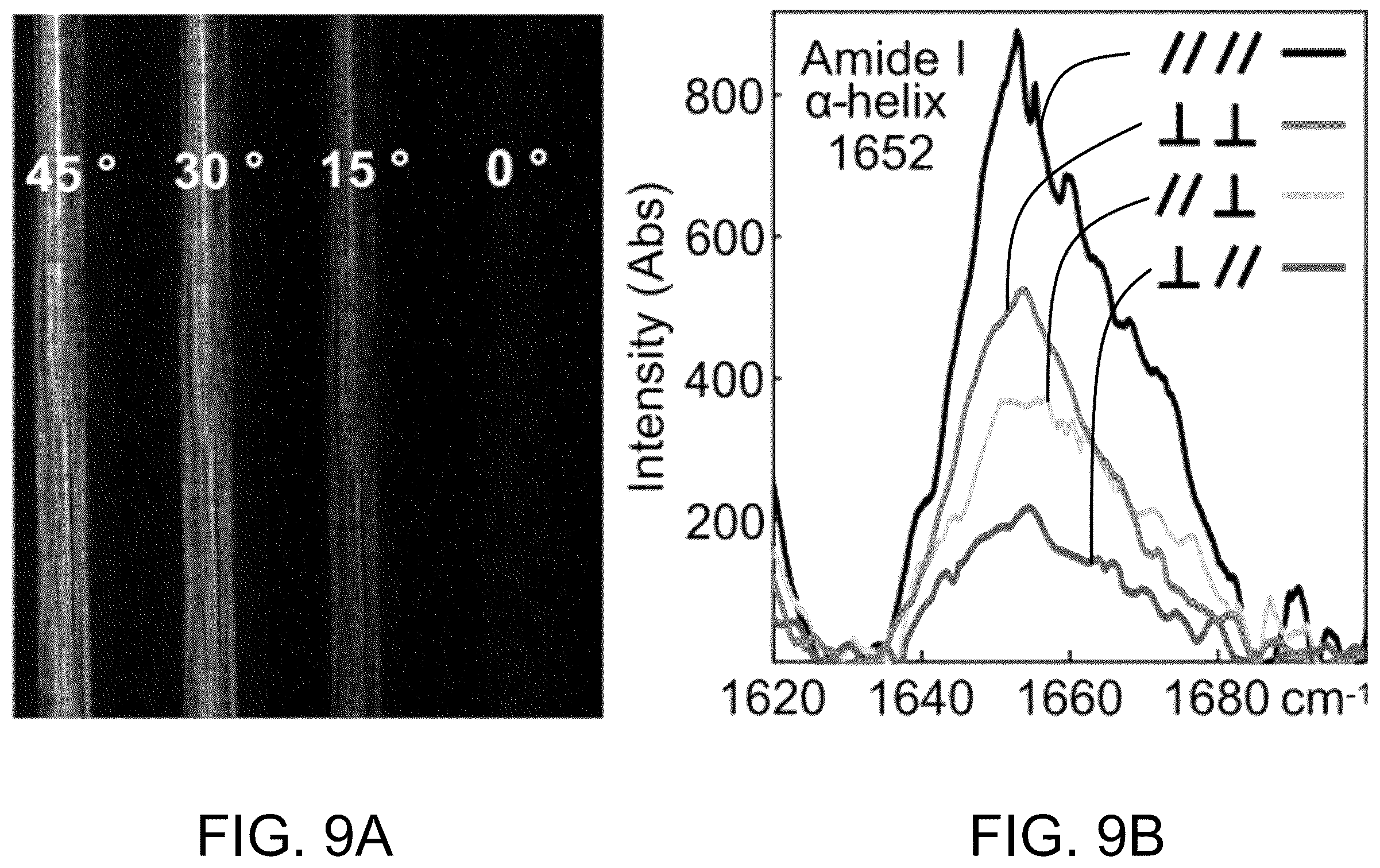 Patent US12139818 Figure 12 – Alpha-keratin solutions comprising alpha-keratin intermediate filaments in liquid crystal phase, methods of preparation, and uses thereof