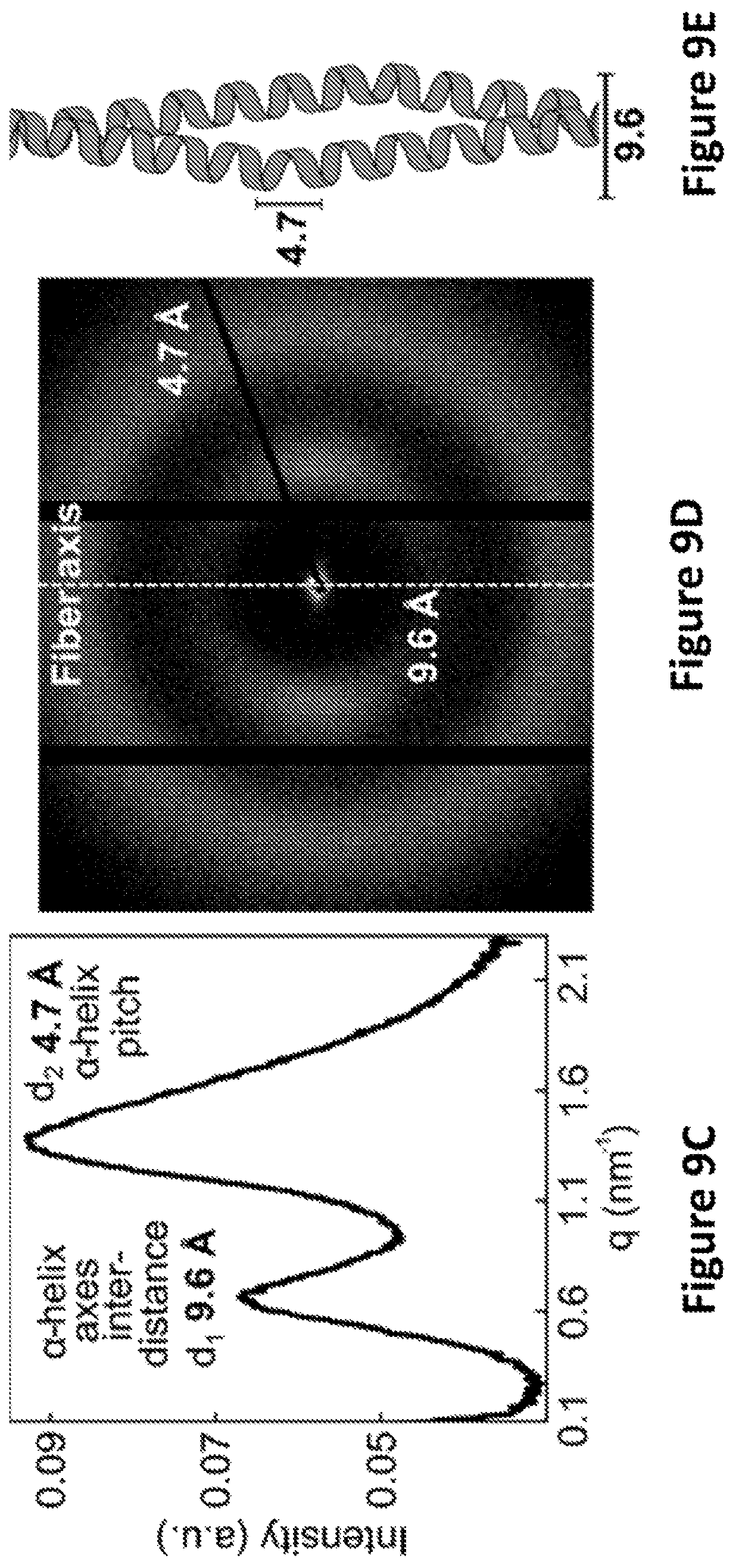 Patent US12139818 Figure 13 – Alpha-keratin solutions comprising alpha-keratin intermediate filaments in liquid crystal phase, methods of preparation, and uses thereof