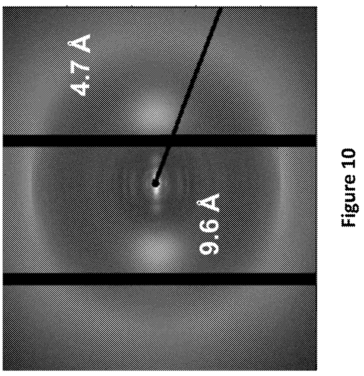 Patent US12139818 Figure 14 – Alpha-keratin solutions comprising alpha-keratin intermediate filaments in liquid crystal phase, methods of preparation, and uses thereof