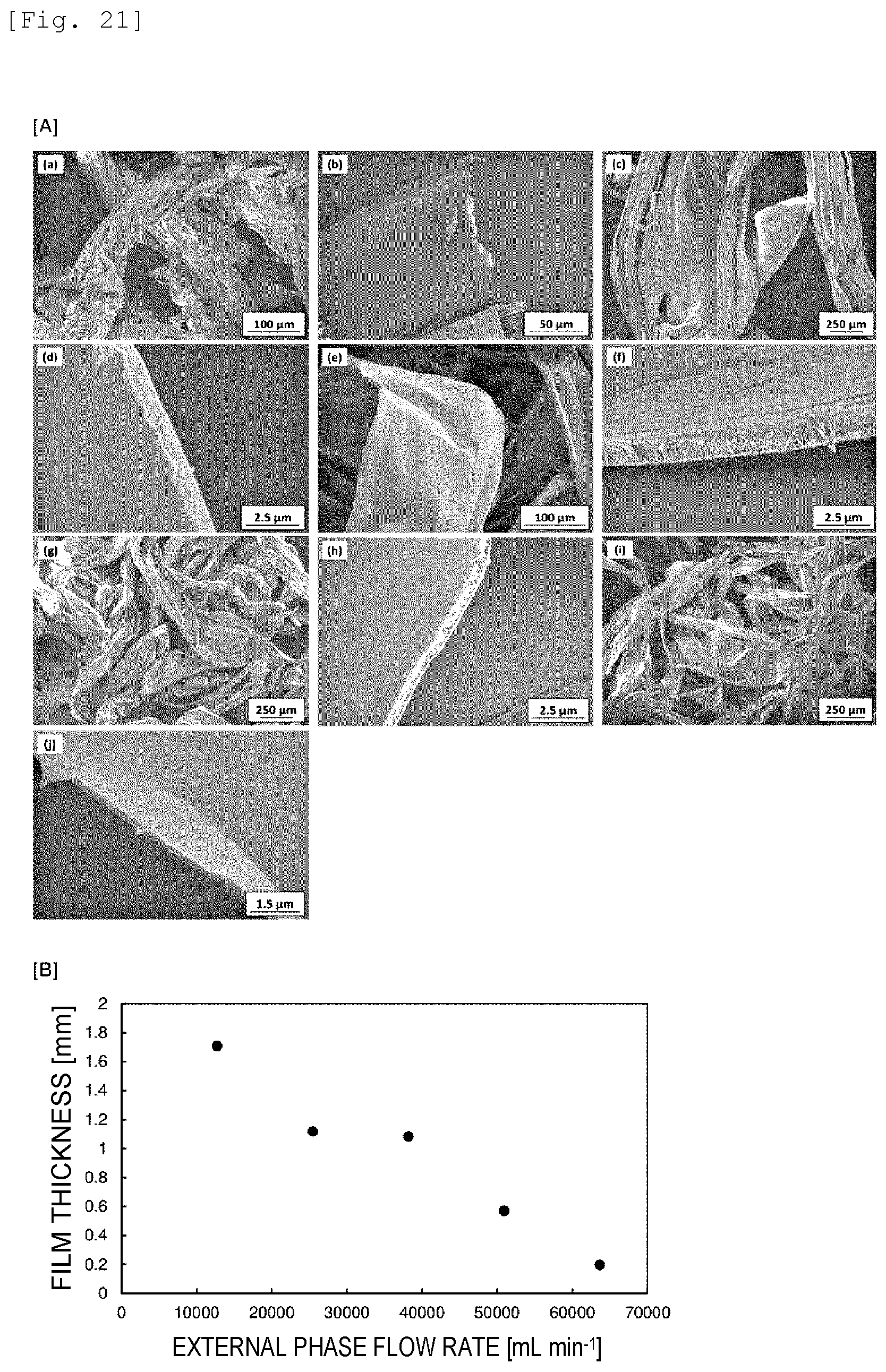 Patent US12139819 Figure 15 – Wet spun fibers, wet formed film, and production method therefor