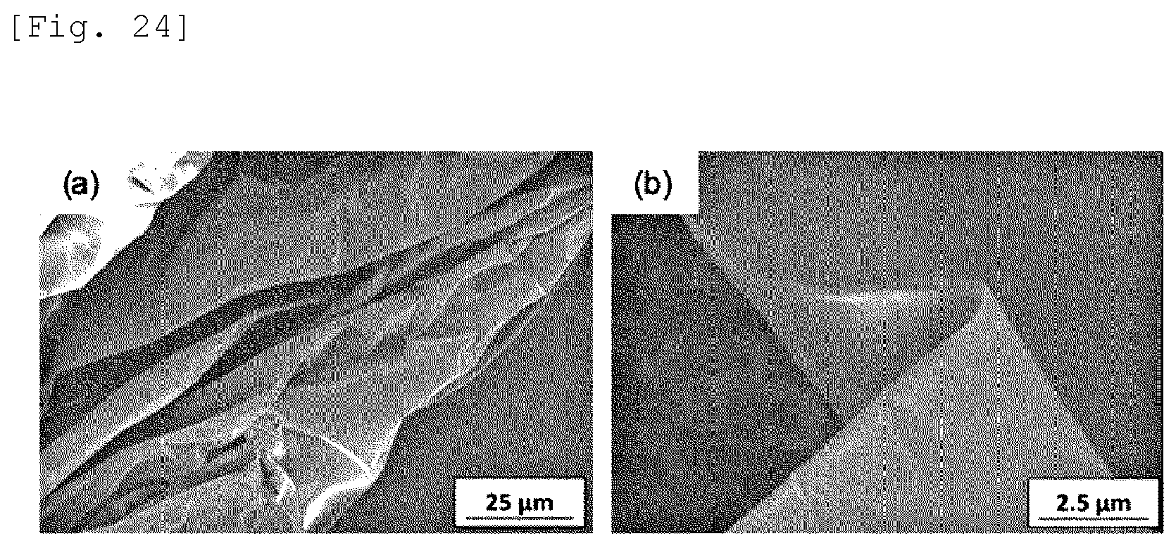 Patent US12139819 Figure 17 – Wet spun fibers, wet formed film, and production method therefor