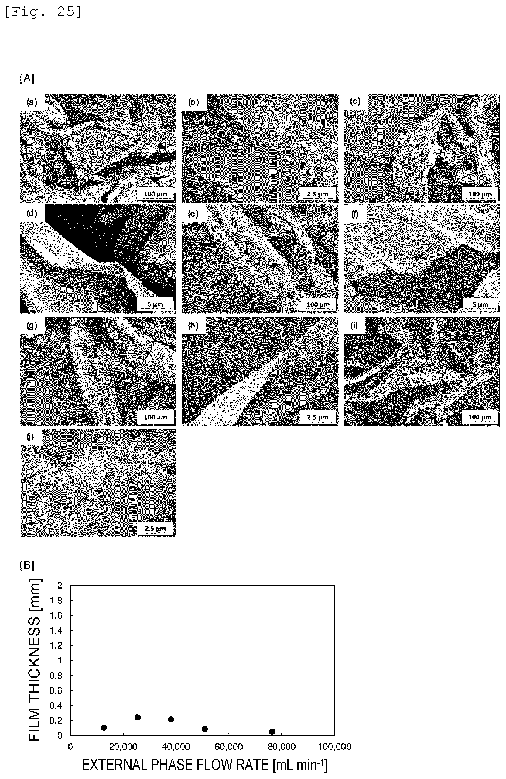 Patent US12139819 Figure 18 – Wet spun fibers, wet formed film, and production method therefor