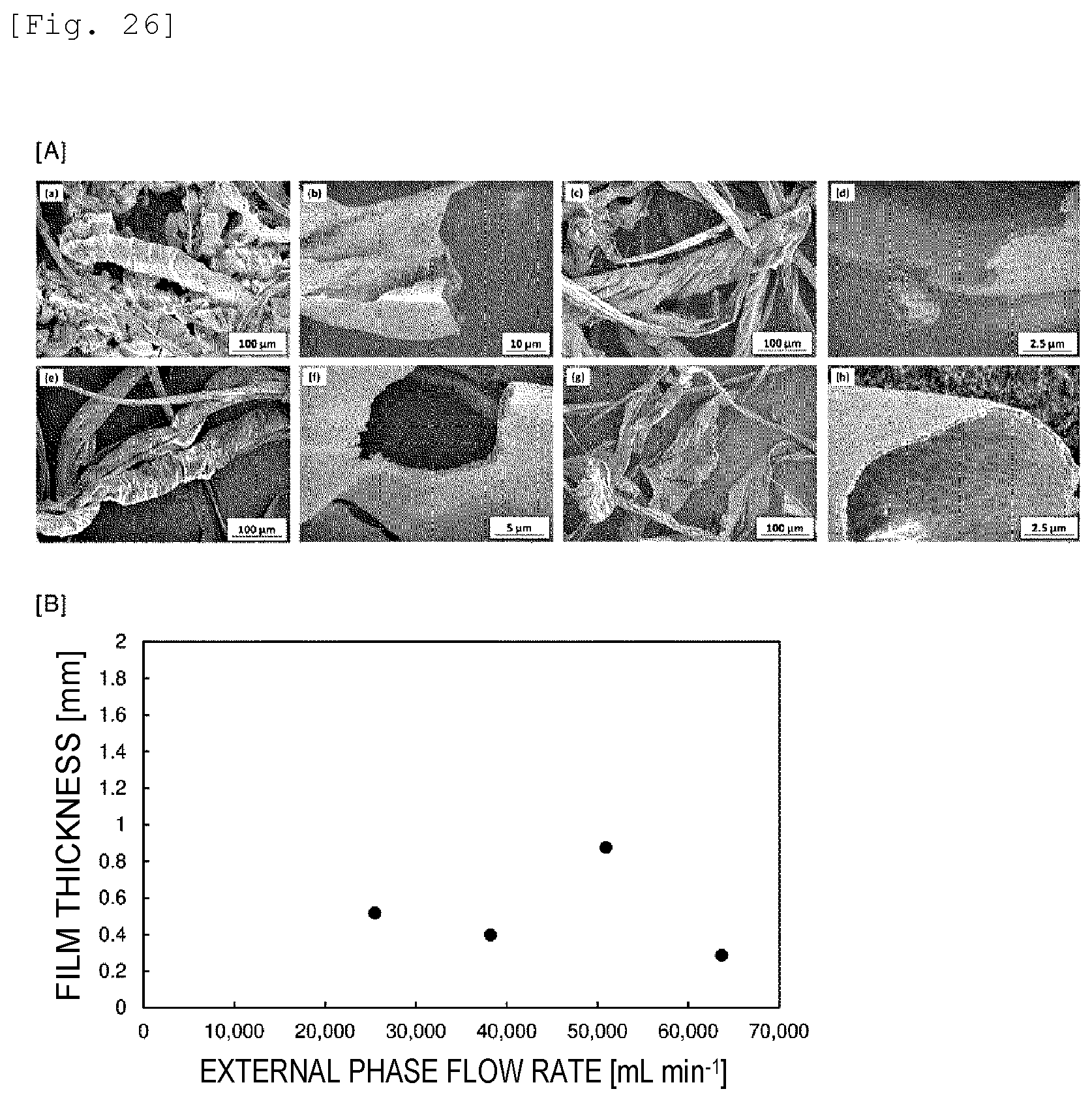 Patent US12139819 Figure 19 – Wet spun fibers, wet formed film, and production method therefor