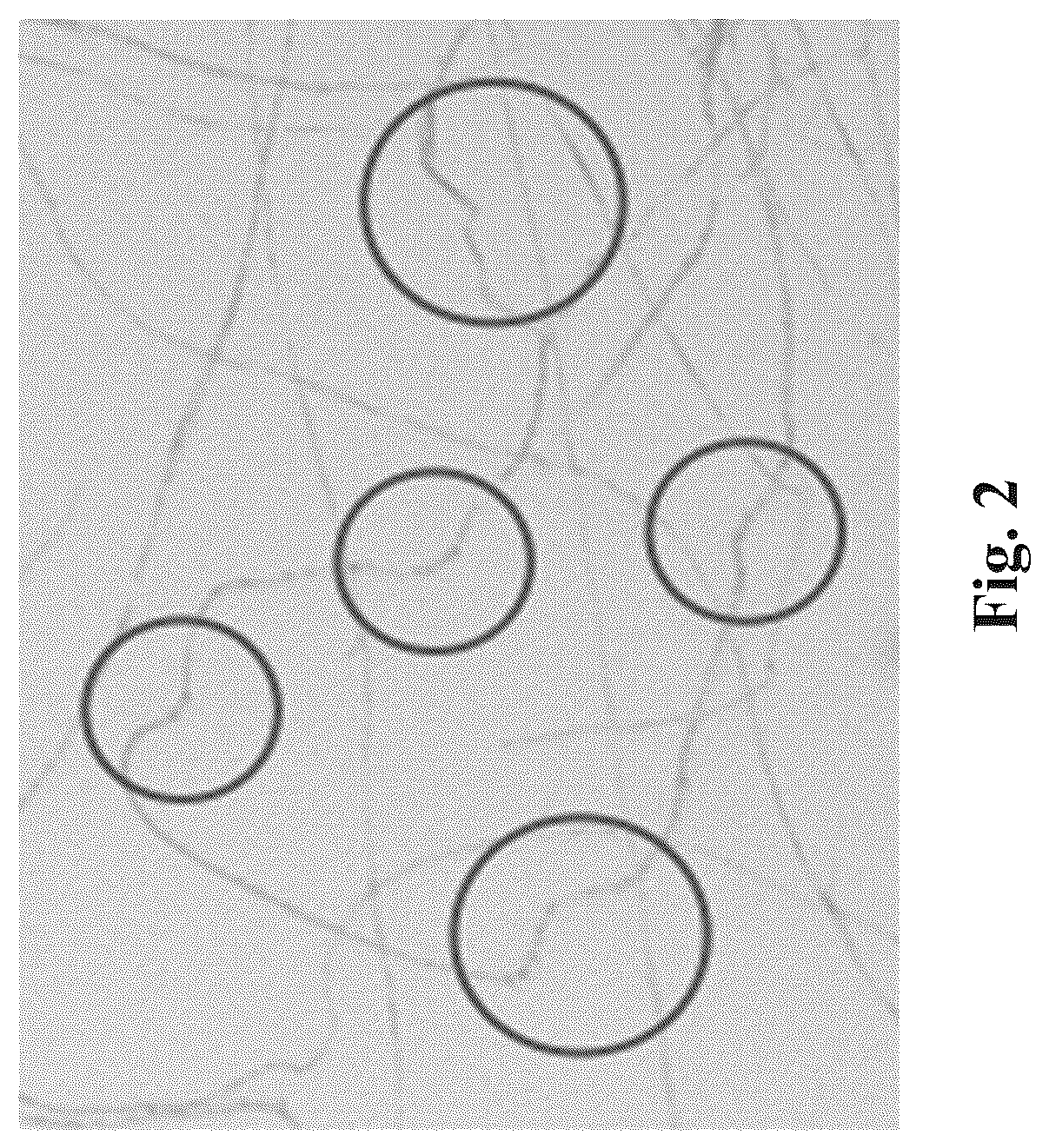 Patent US12139831 Figure 2 – Bast fiber, fabrics made therewith, and related method of manufacture