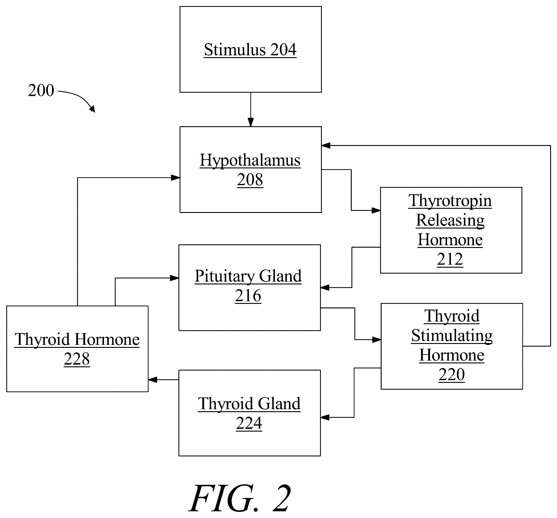 Patent US12142362 Figure 2 – System and method for generating a thyroid malady nourishment program