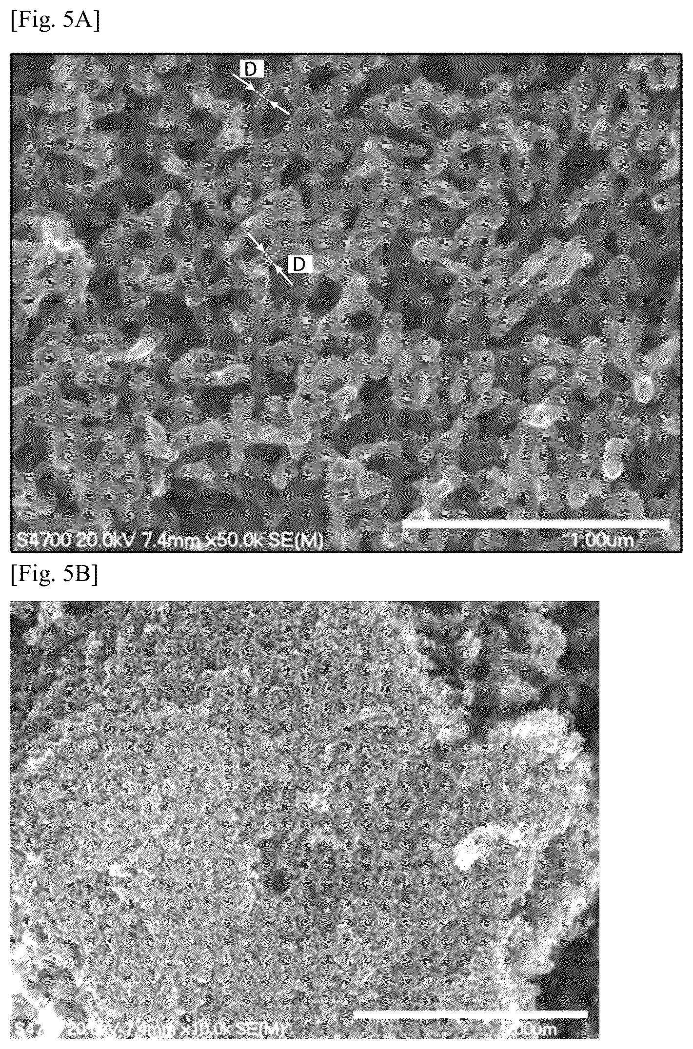 Patent US12142770 Figure 3 – Carbon material for use as catalyst carrier of polymer electrolyte fuel cell and method of producing the same