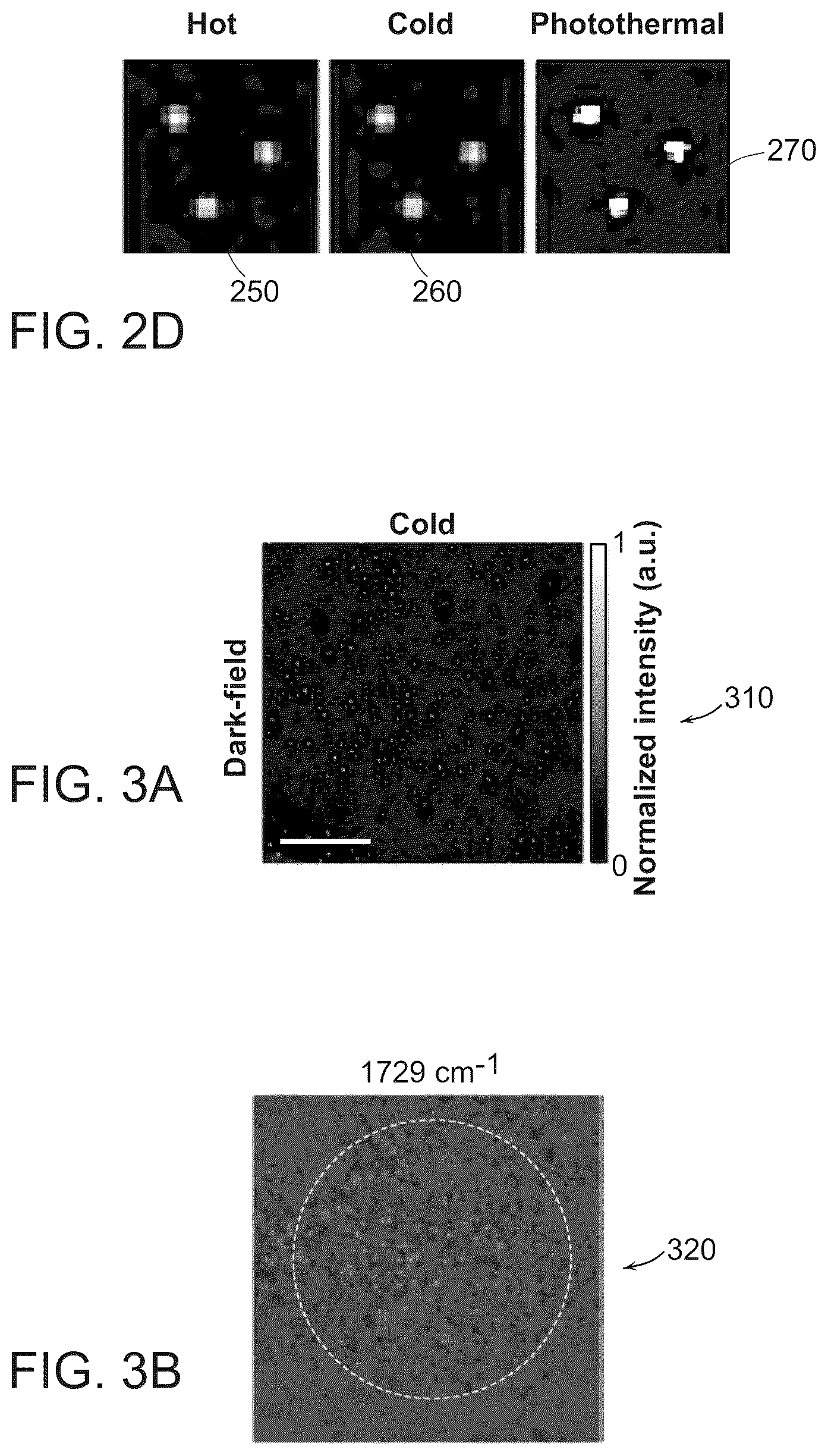 Patent US12147022 Figure 4 – Dark-field mid-infrared photothermal microscopy