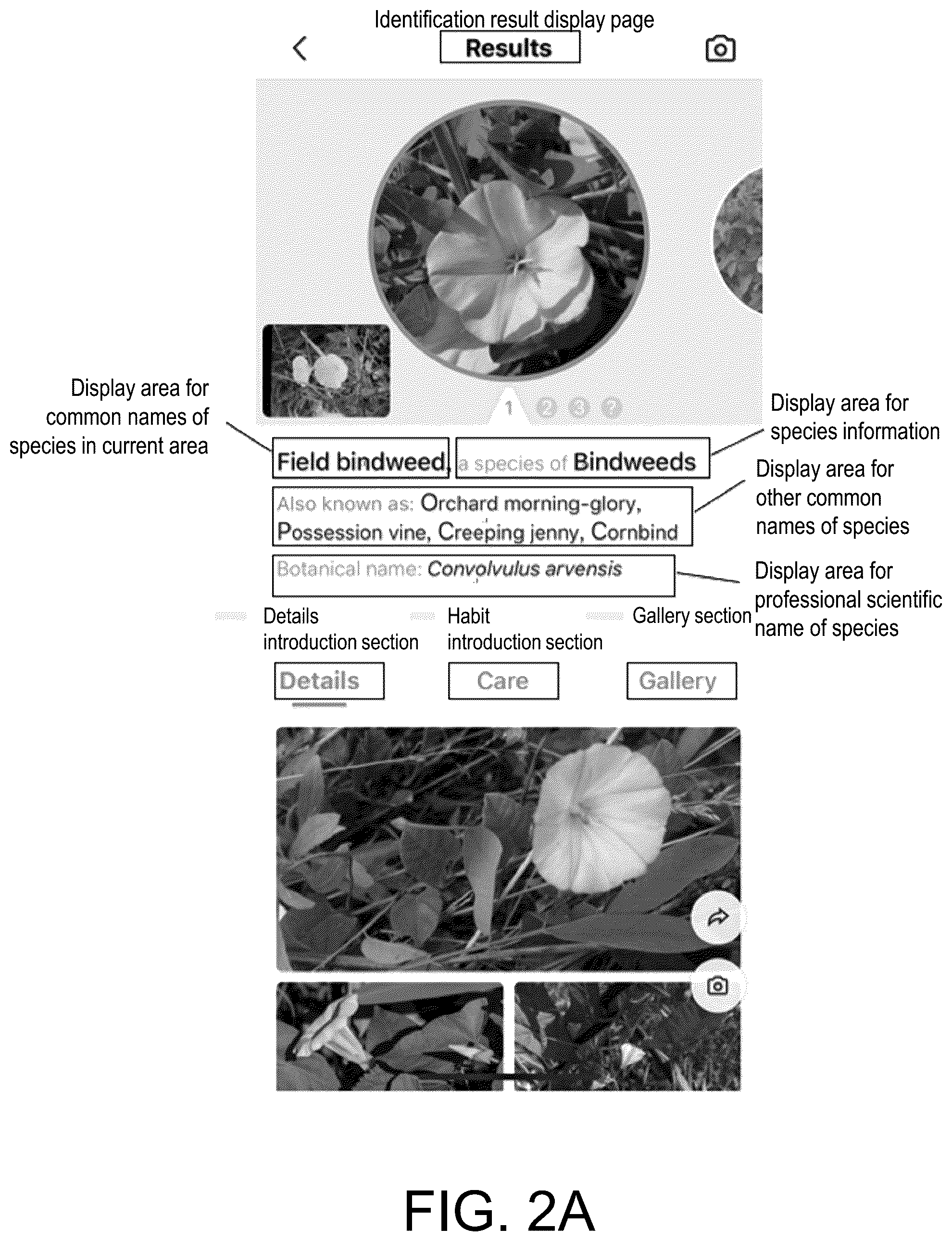 Patent US12147469 Figure 2 – Method and system for acquiring species identification names and readable storage medium