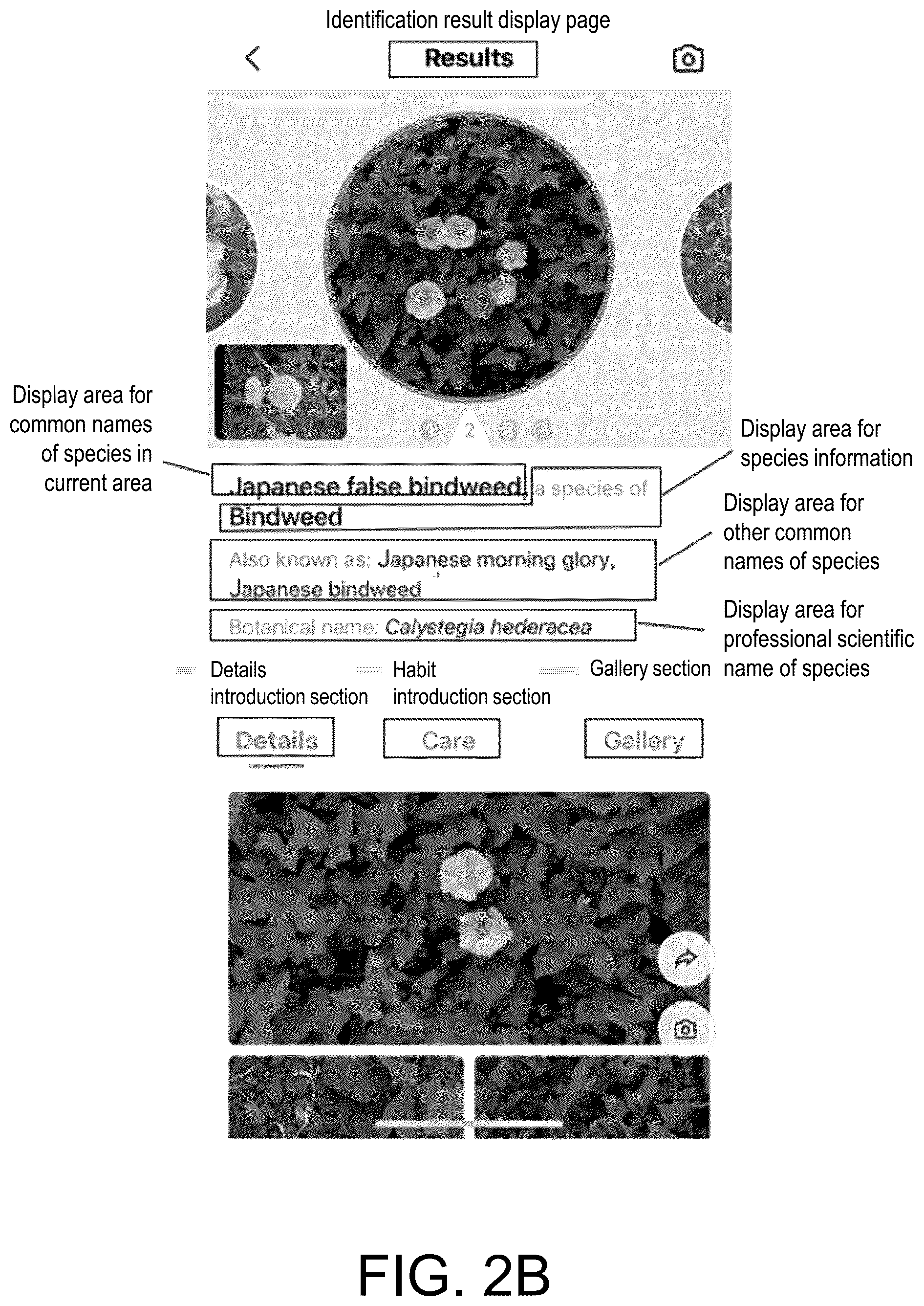 Patent US12147469 Figure 3 – Method and system for acquiring species identification names and readable storage medium