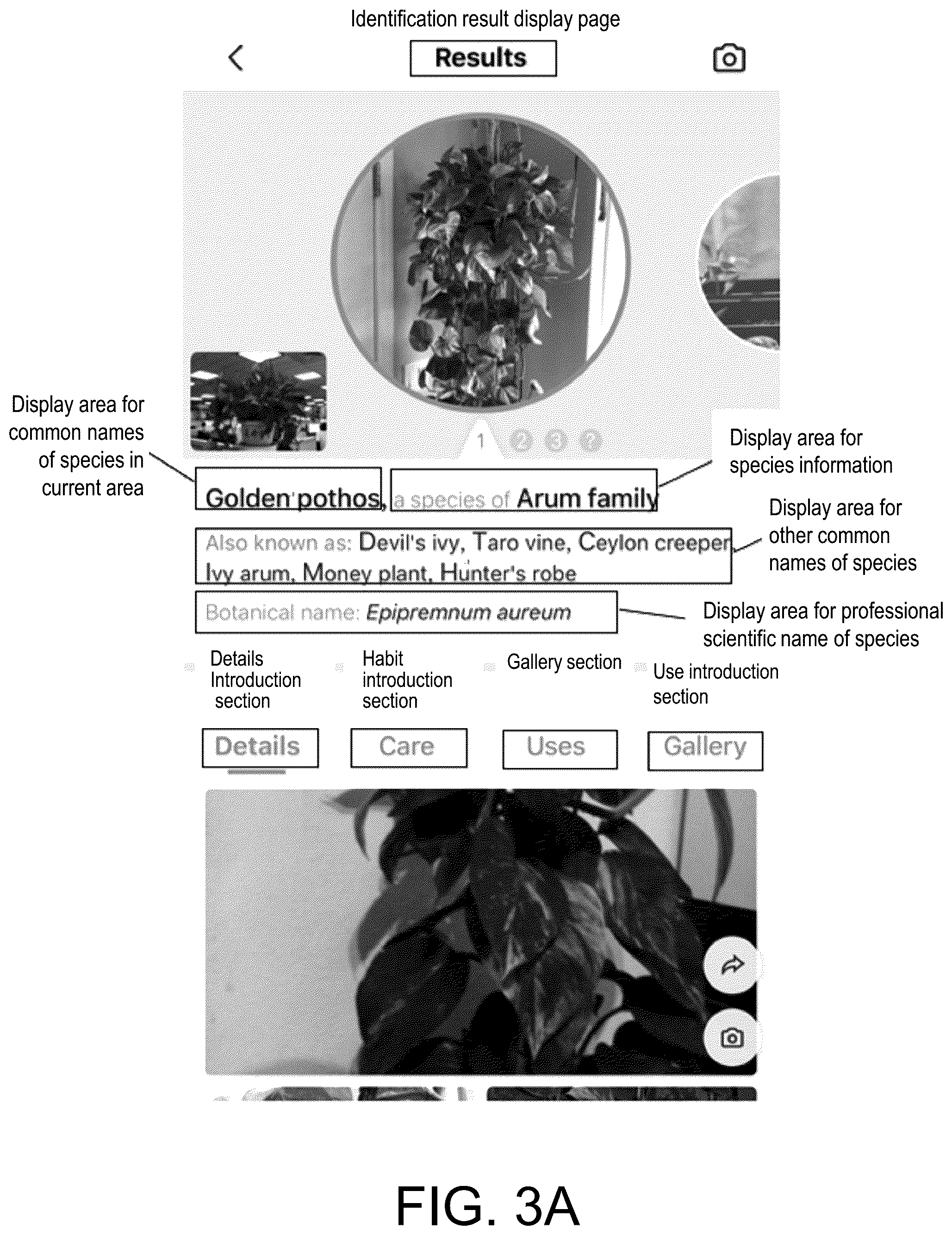 Patent US12147469 Figure 4 – Method and system for acquiring species identification names and readable storage medium