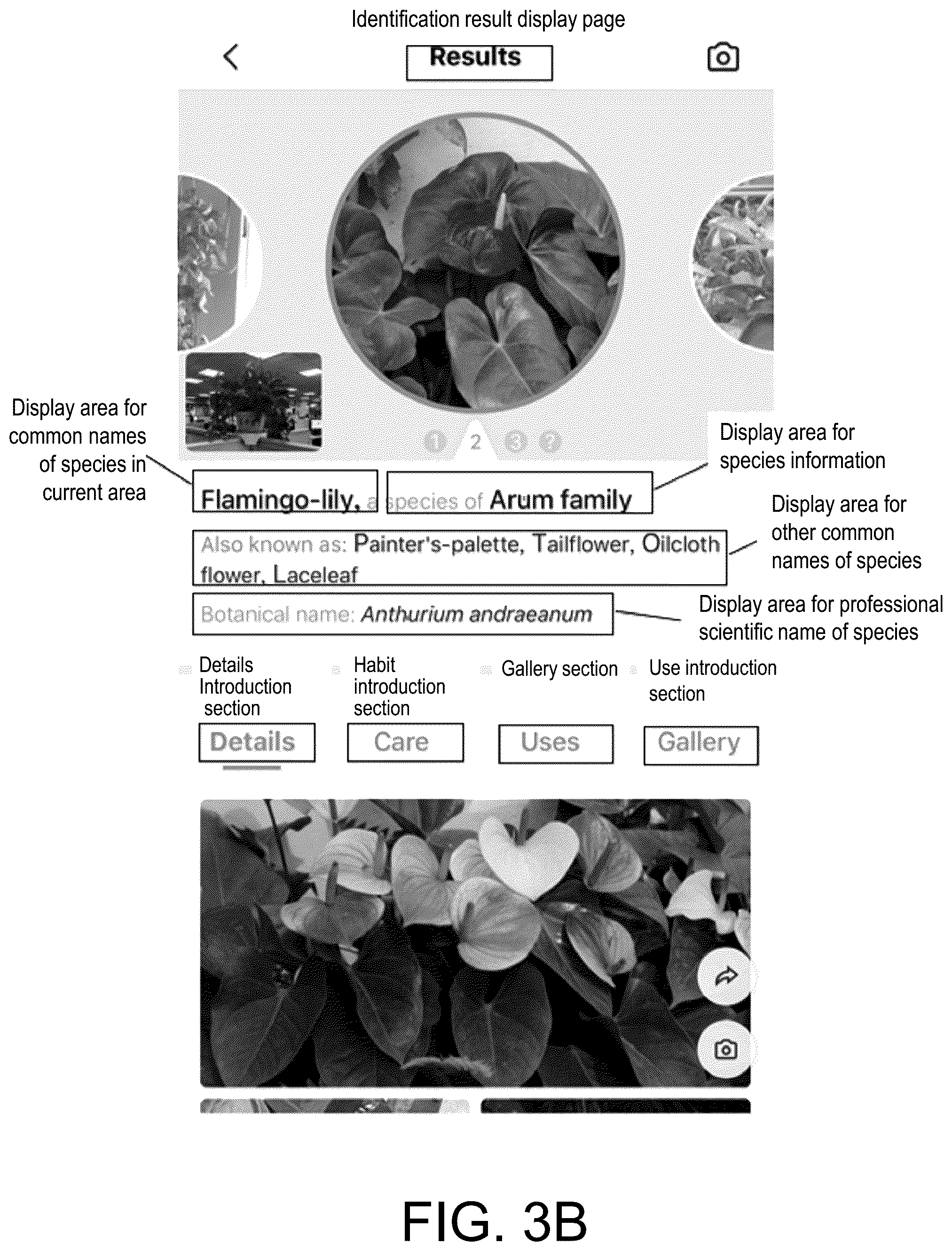 Patent US12147469 Figure 5 – Method and system for acquiring species identification names and readable storage medium