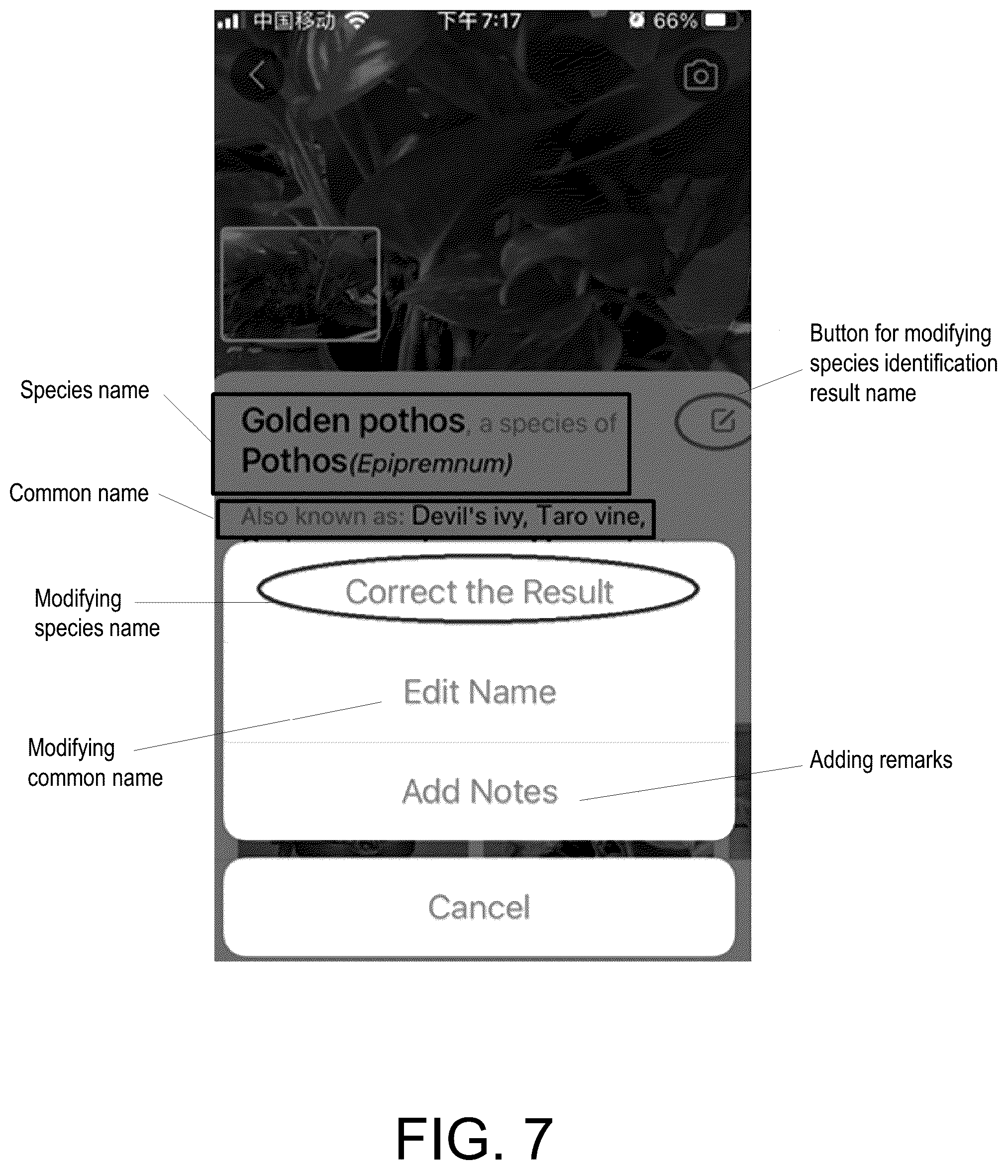 Patent US12147469 Figure 8 – Method and system for acquiring species identification names and readable storage medium