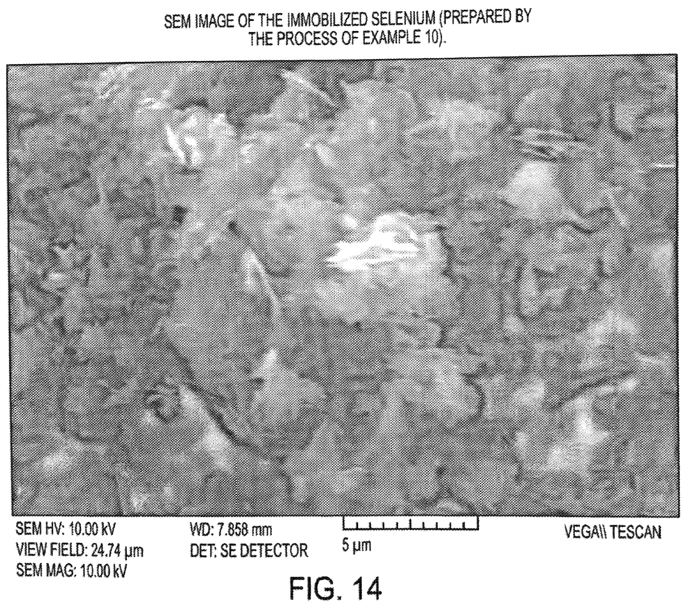 Patent US12155058 Figure 18 – Immobilized chalcogen comprising a chalcogen element, an electrically conductive material, and hydrophilic membrane gate and use thereof in a rechargeable battery