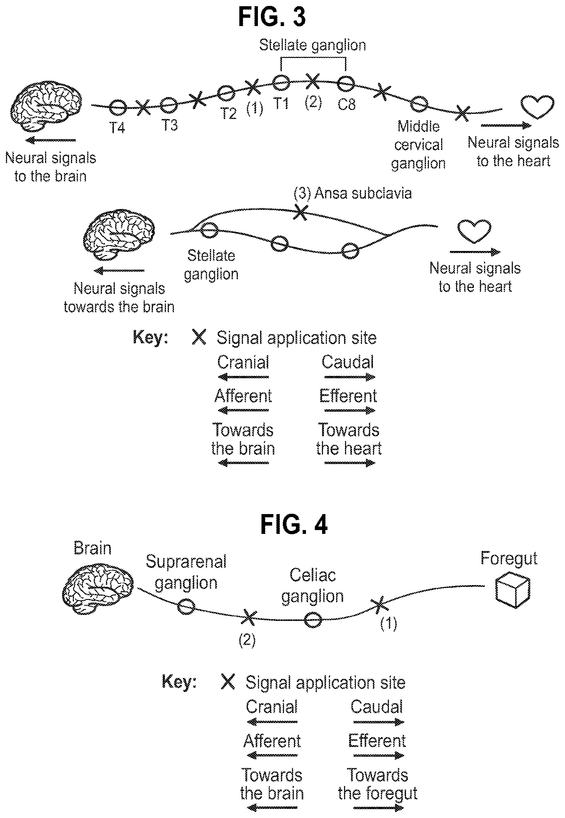 Patent US12157007 Figure 3 – Neuromodulation of ganglia