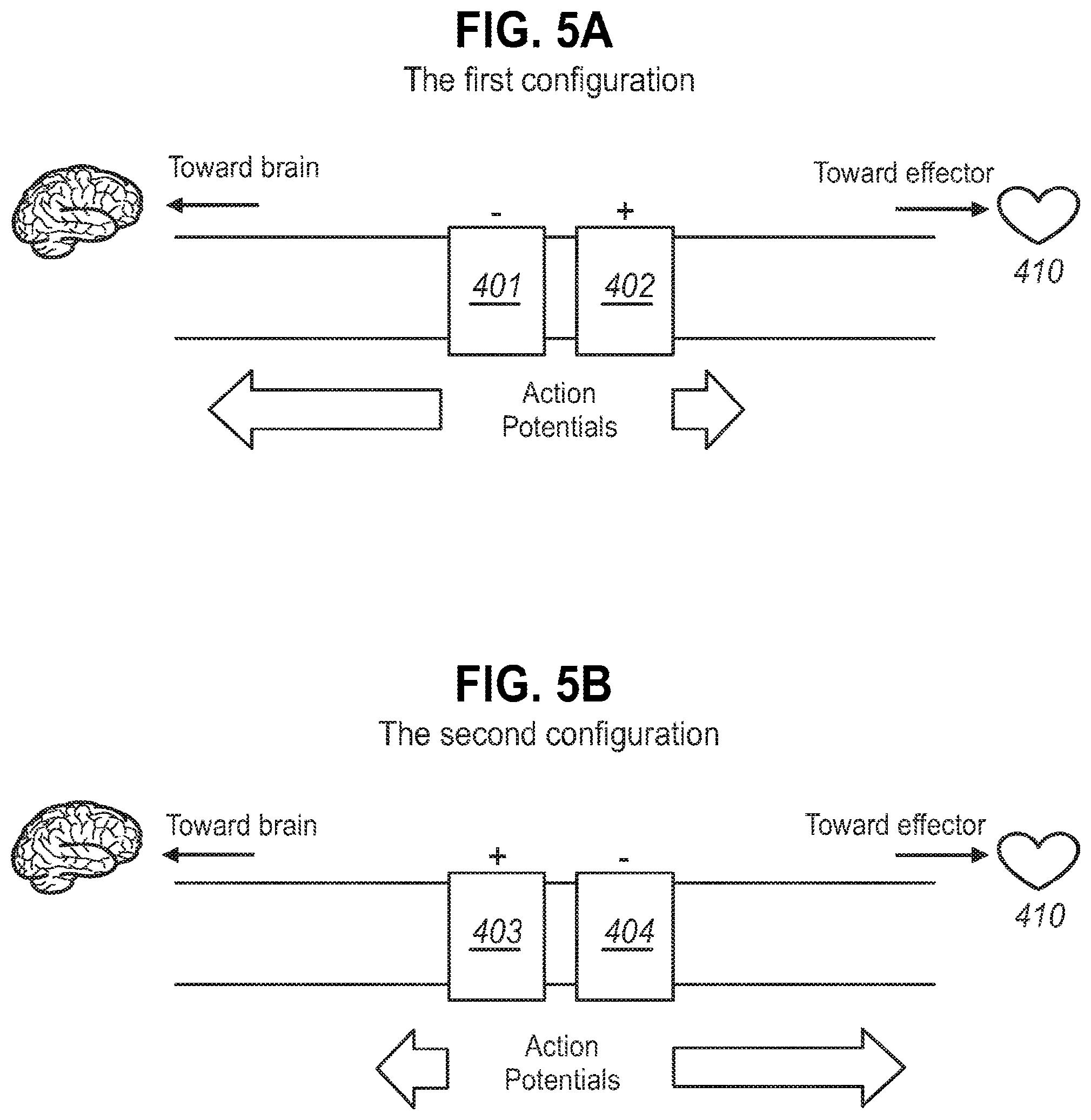 Patent US12157007 Figure 4 – Neuromodulation of ganglia