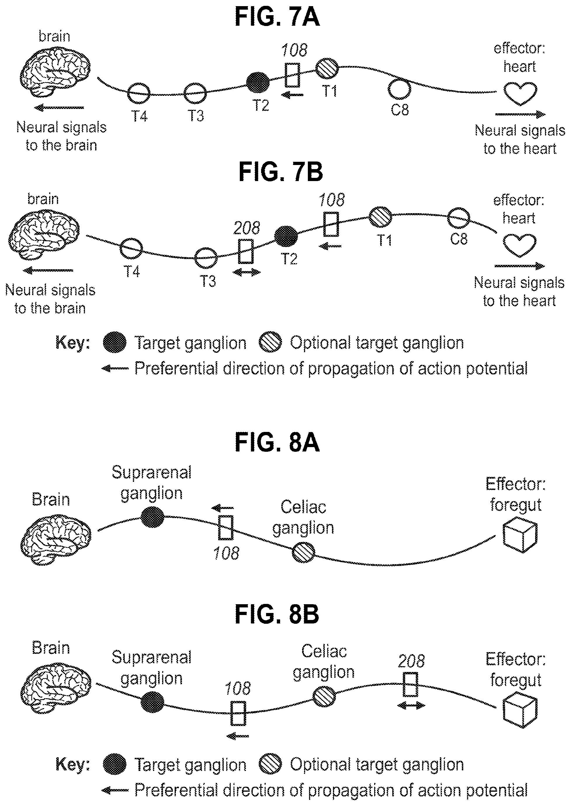 Patent US12157007 Figure 6 – Neuromodulation of ganglia