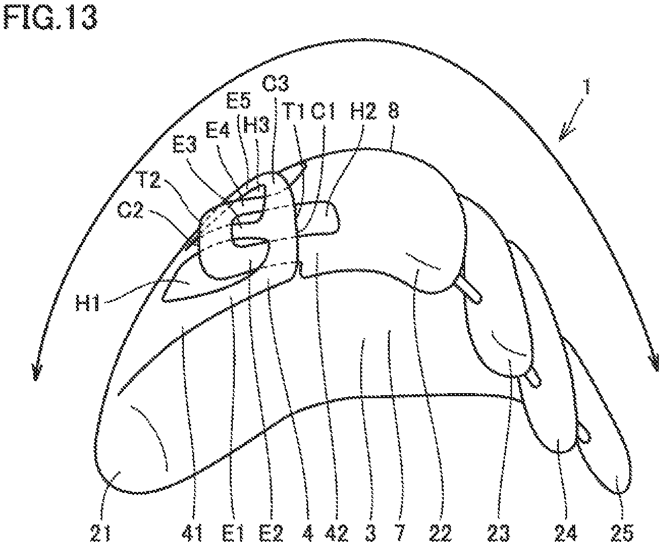 Patent US12157048 Figure 13 – Baseball or softball glove