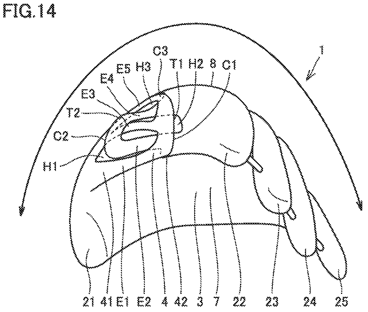 Patent US12157048 Figure 14 – Baseball or softball glove