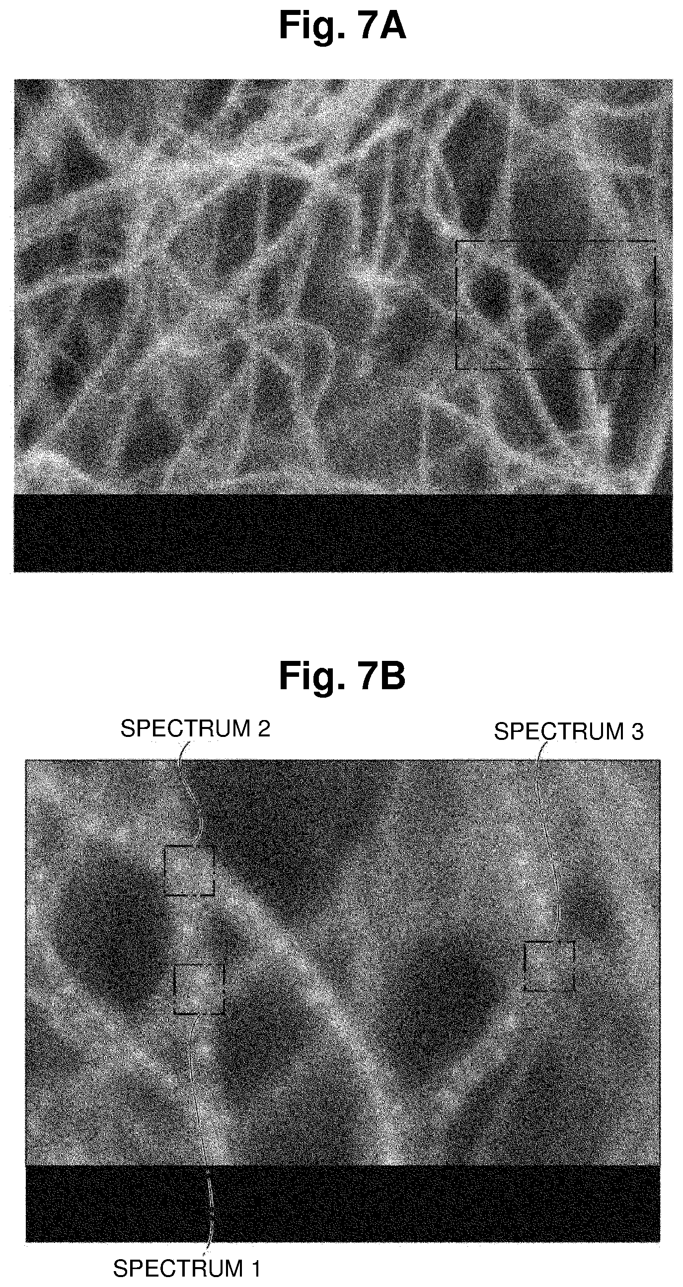 Patent US12157112 Figure 7 – Alloy nanoparticles loaded network structure and method for producing alloy nanoparticles loaded porous body