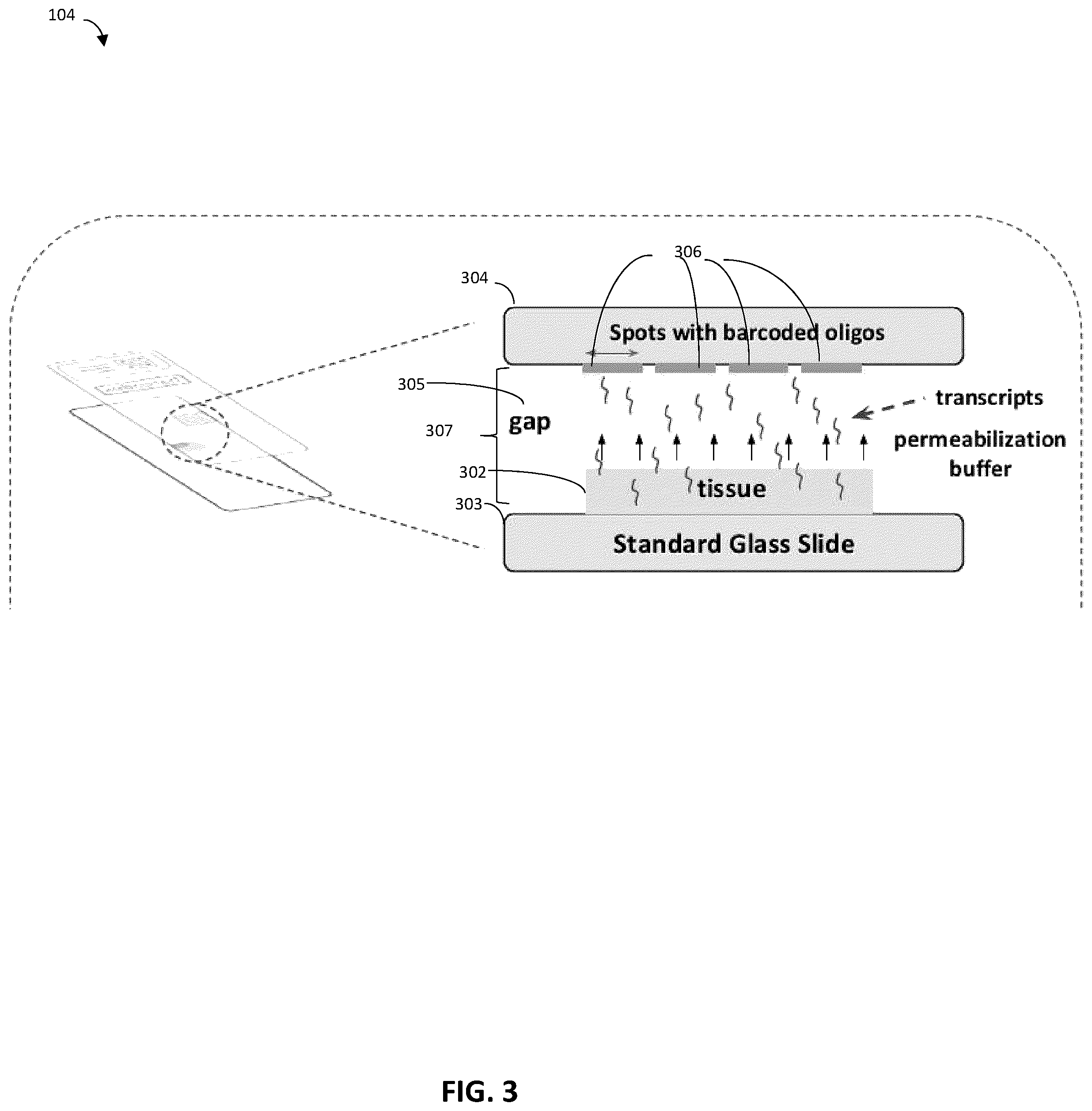 Patent US12157124 Figure 3 – Imaging system hardware