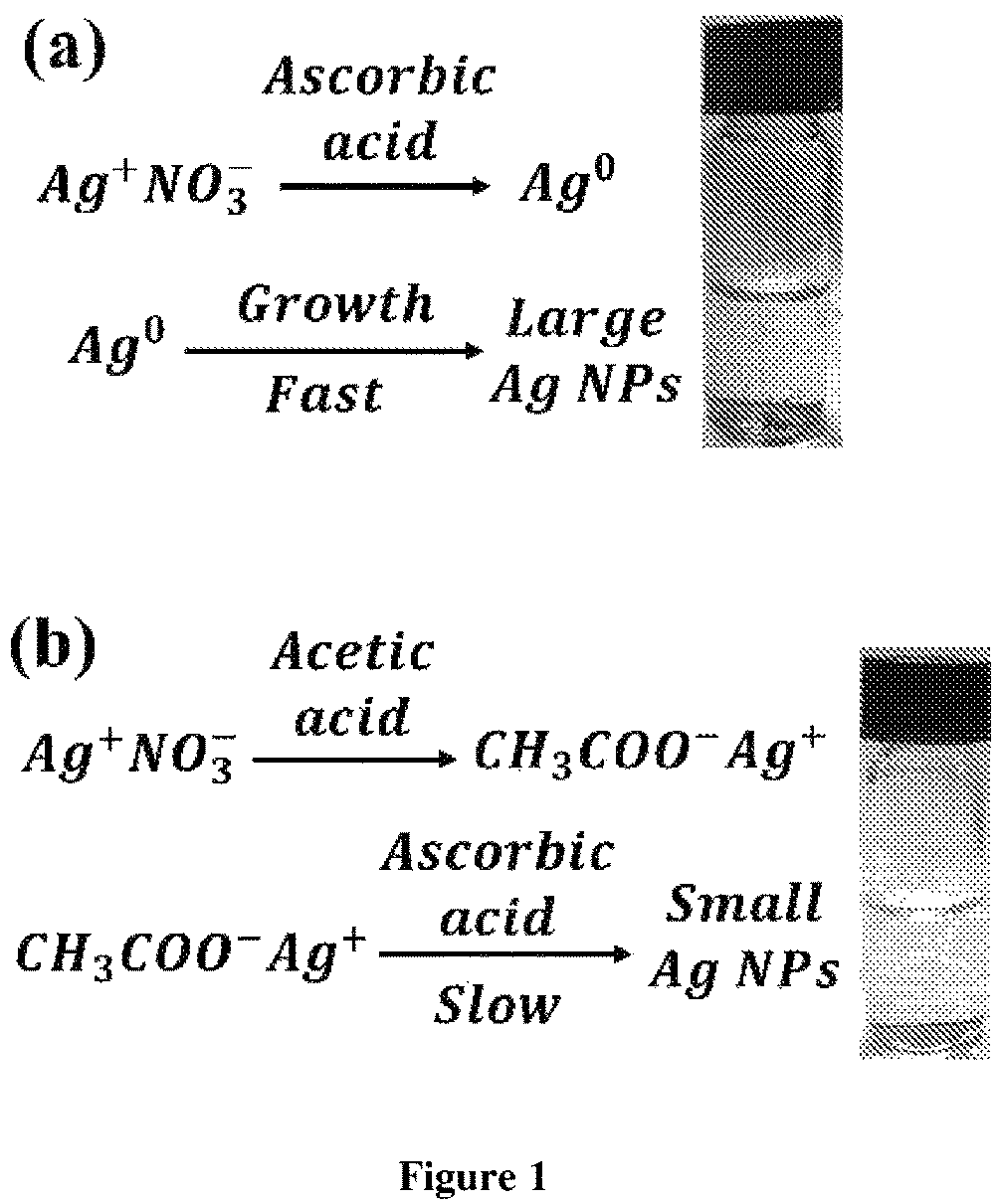 Patent US12157142 Figure 1 – Integration of metal nanowire network into conducting polymers