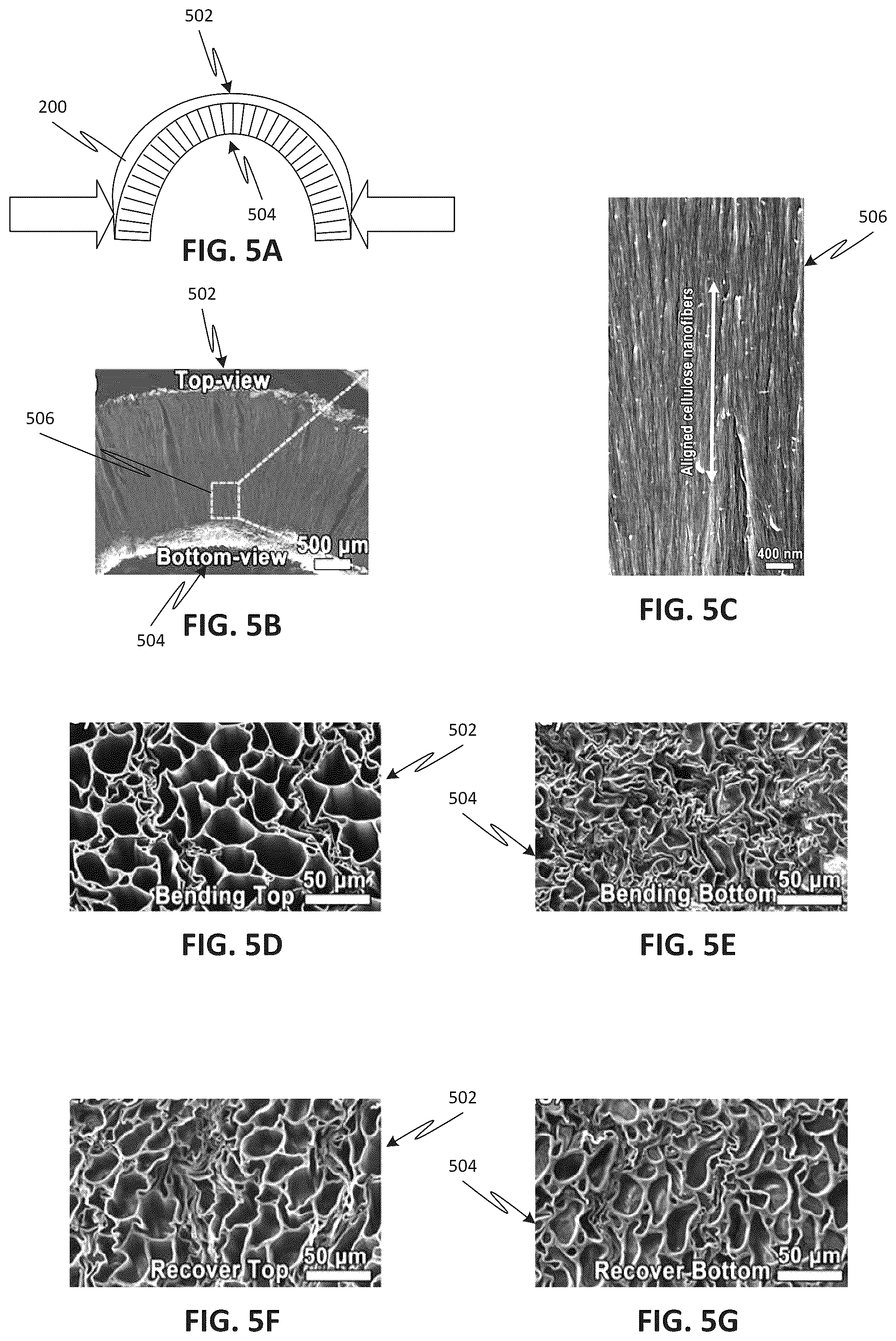 Patent US12157249 Figure 4 – Flexible wood structures and devices, and methods for fabricating and use thereof