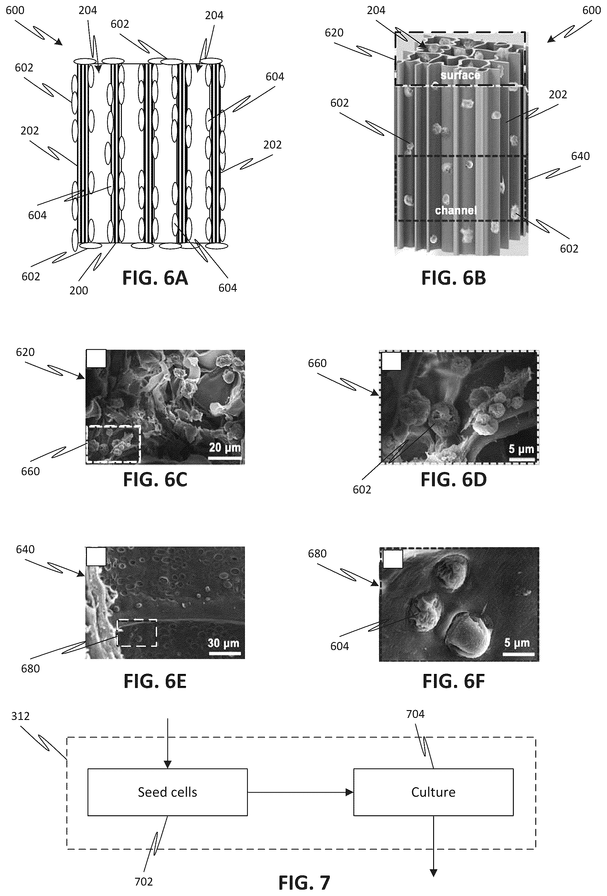 Patent US12157249 Figure 5 – Flexible wood structures and devices, and methods for fabricating and use thereof