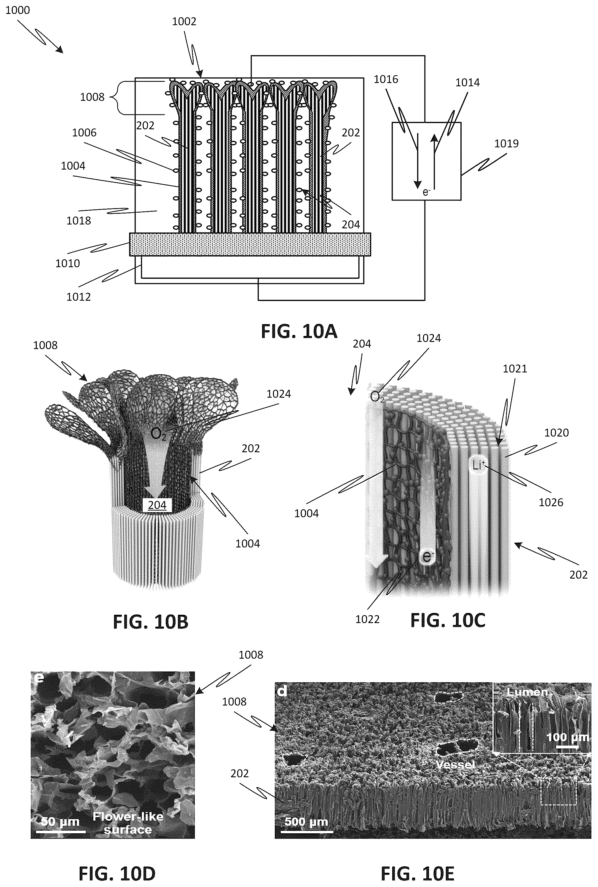 Patent US12157249 Figure 8 – Flexible wood structures and devices, and methods for fabricating and use thereof