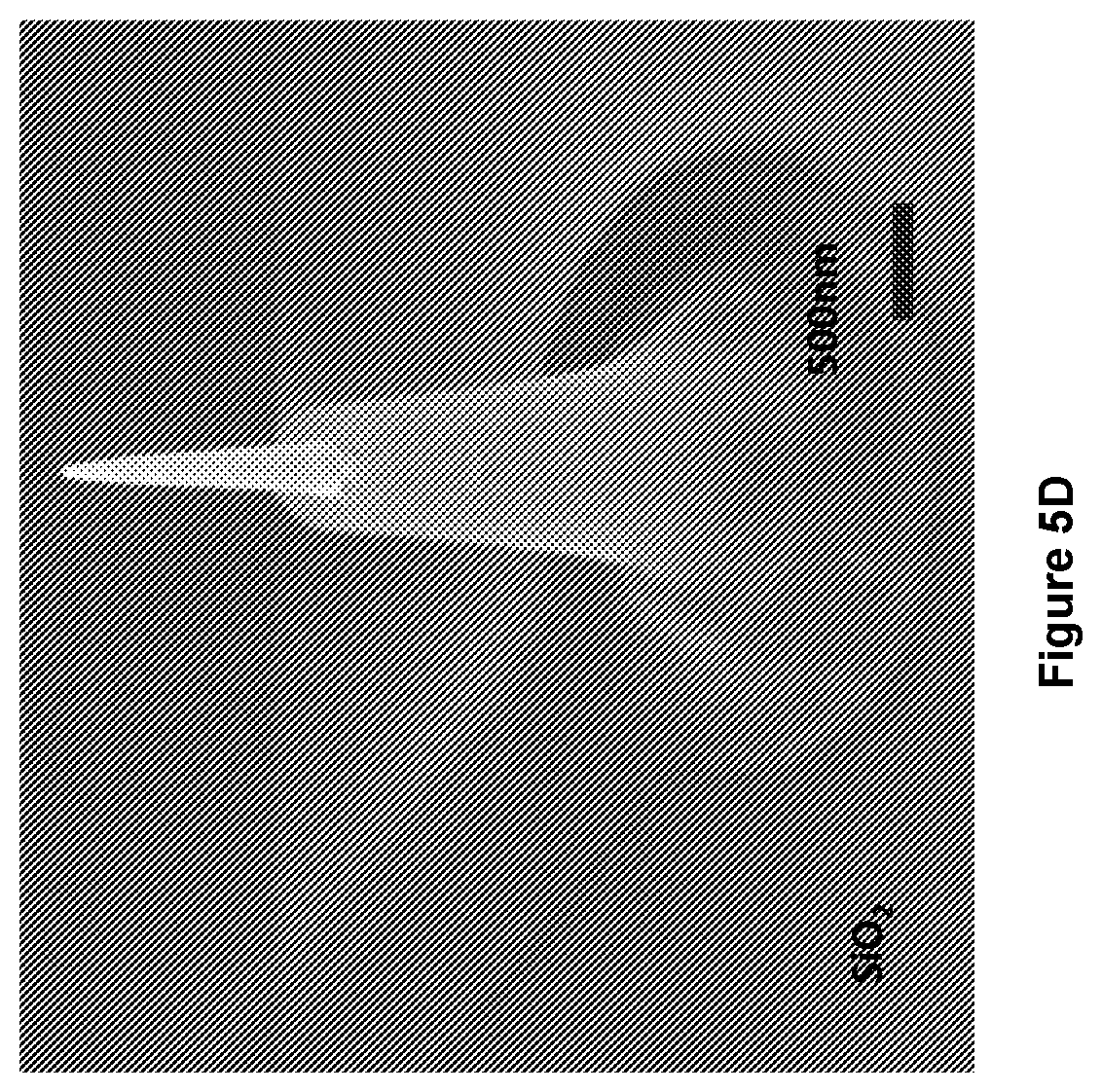 Patent US12157666 Figure 17 – Sharp, vertically aligned nanowire electrode arrays, high-yield fabrication and intracellular recording