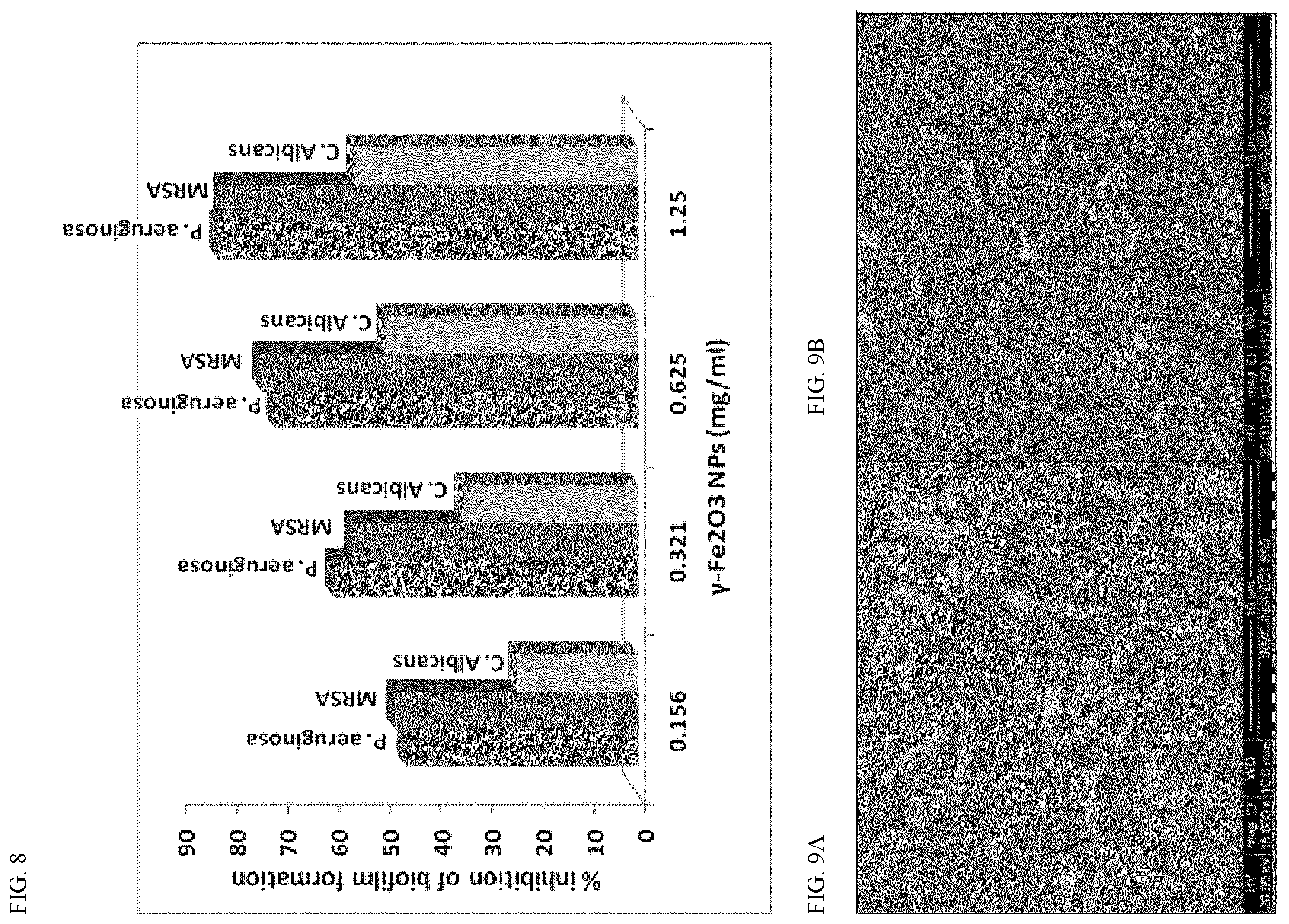 Patent US12157677 Figure 7 – Method for treating a biologically contaminated surface
