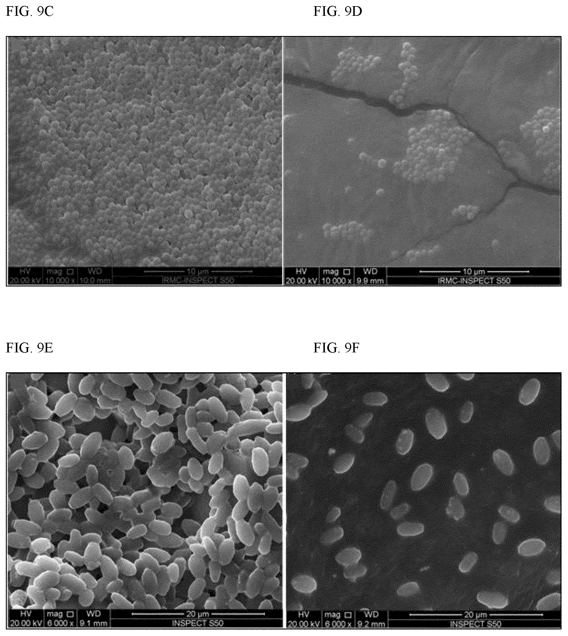 Patent US12157677 Figure 8 – Method for treating a biologically contaminated surface