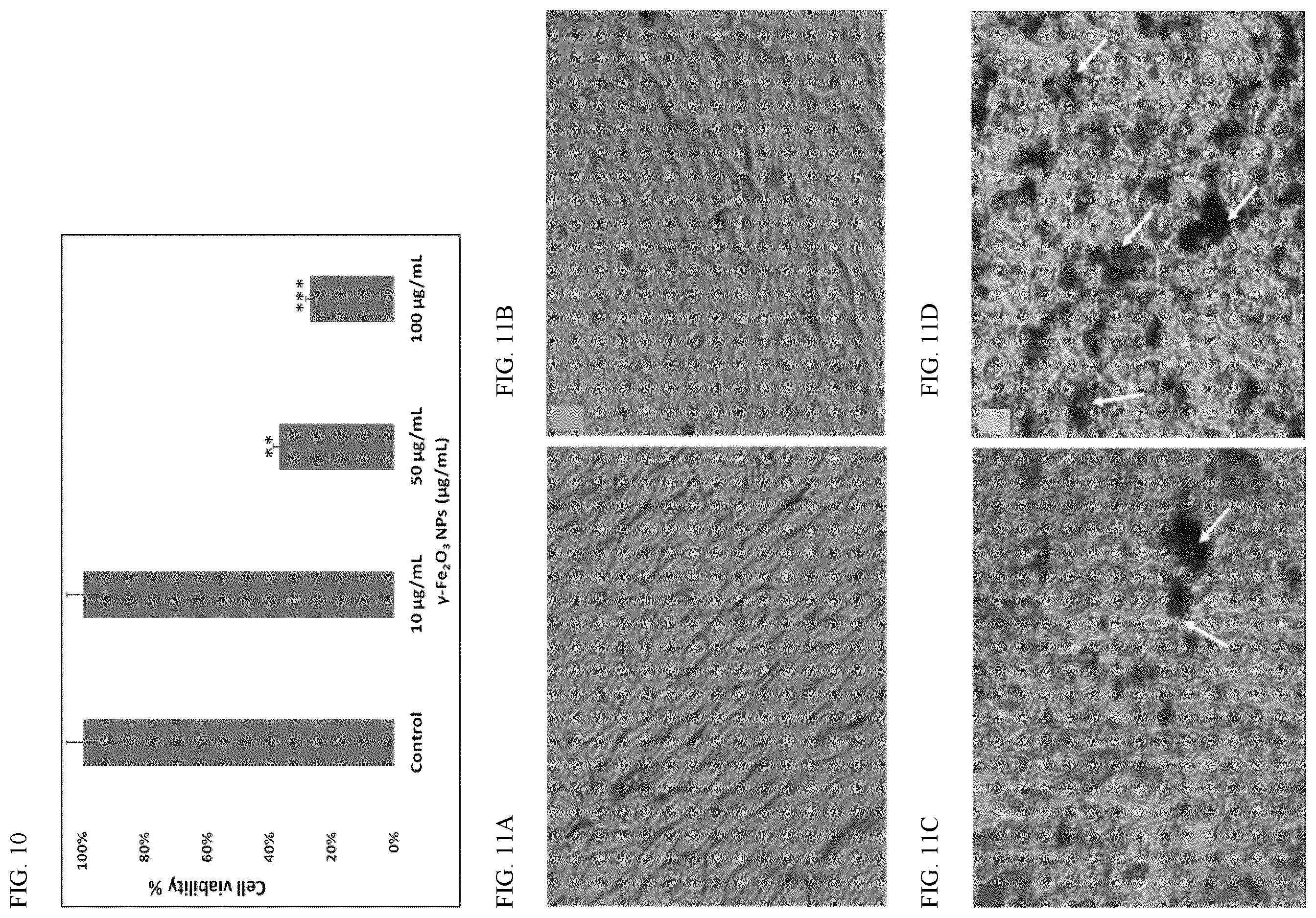 Patent US12157677 Figure 9 – Method for treating a biologically contaminated surface