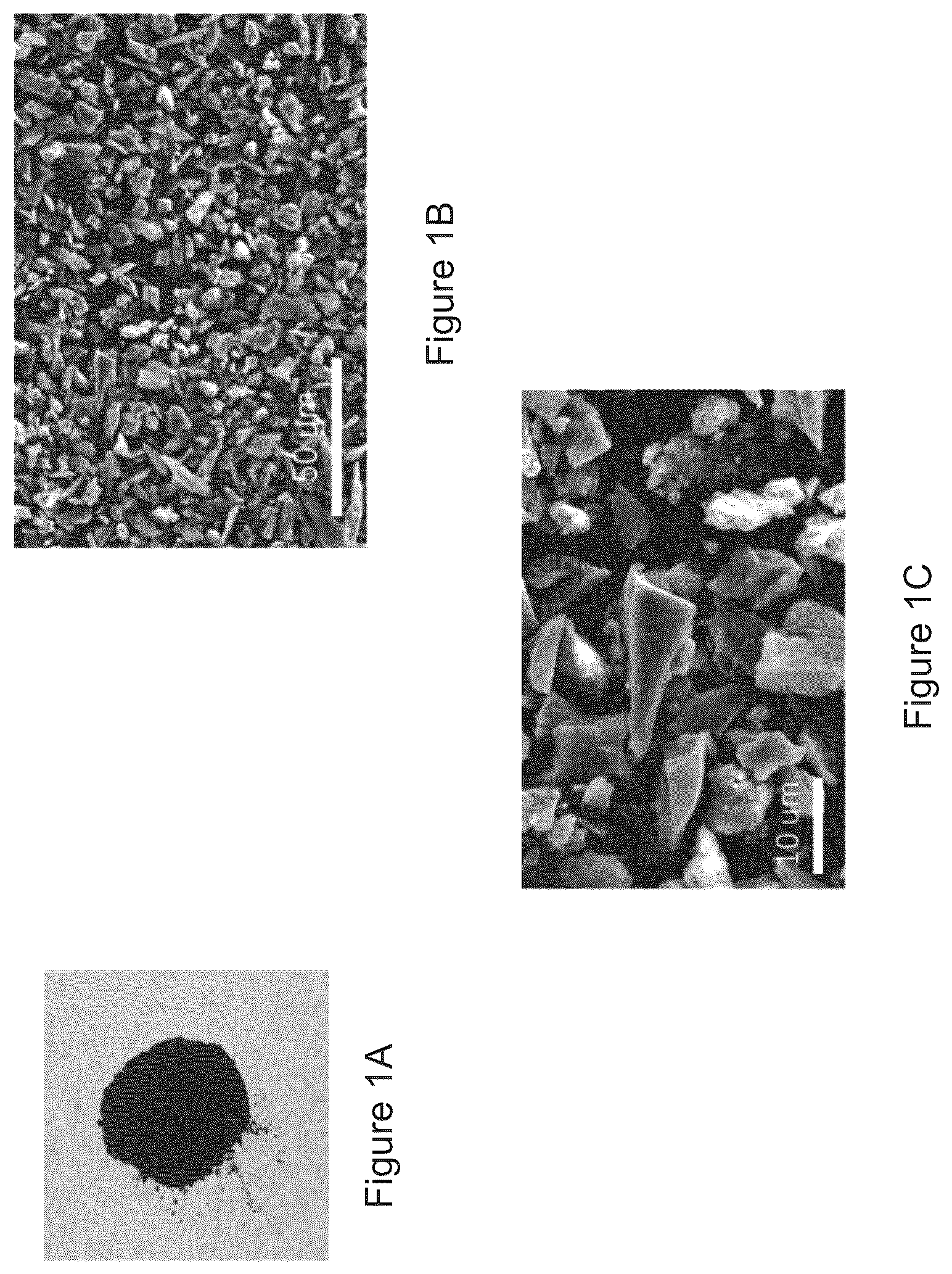 Patent US12157683 Figure 1 – Composite material and a water purifying system