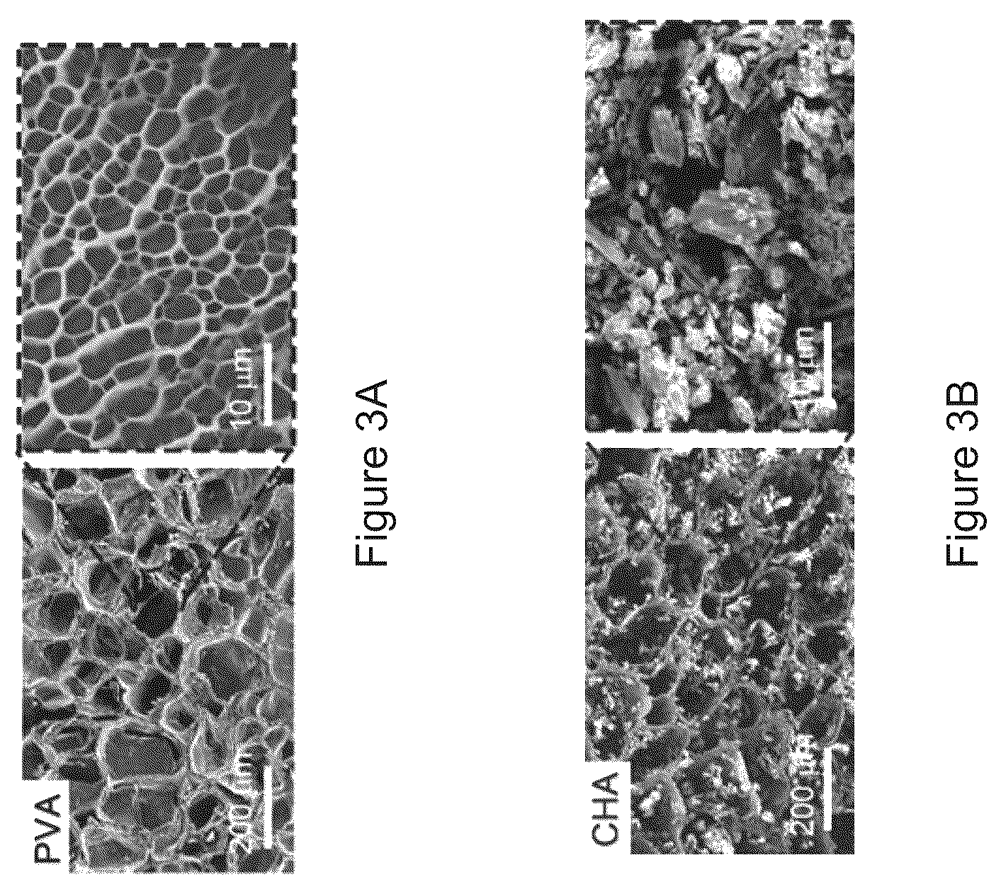 Patent US12157683 Figure 3 – Composite material and a water purifying system