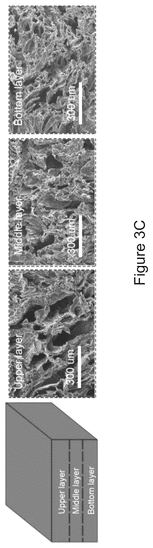 Patent US12157683 Figure 4 – Composite material and a water purifying system
