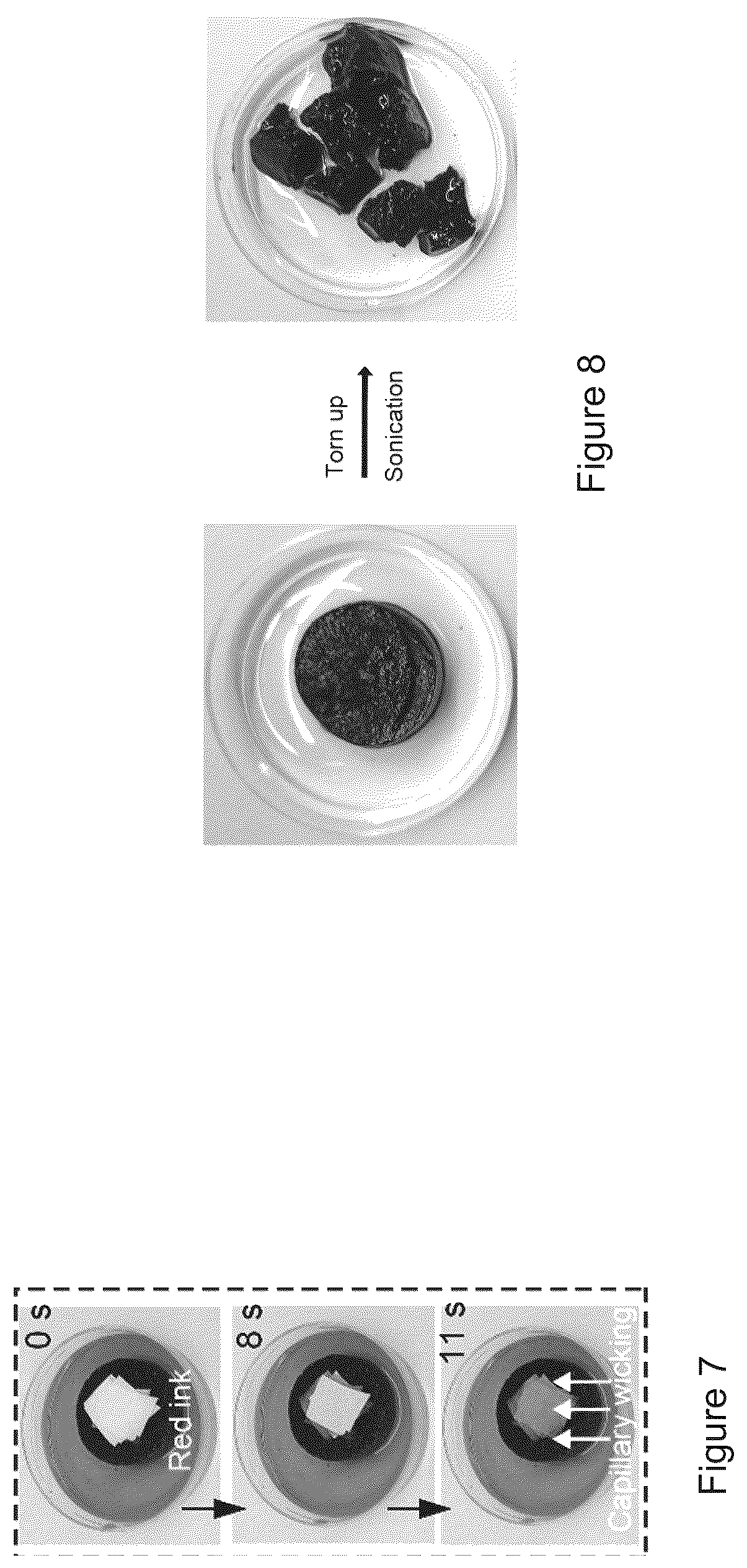 Patent US12157683 Figure 8 – Composite material and a water purifying system