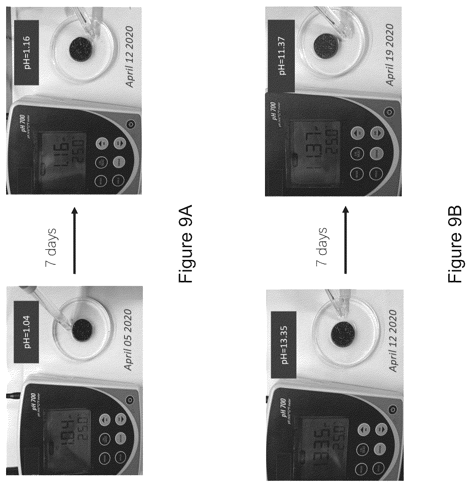 Patent US12157683 Figure 9 – Composite material and a water purifying system