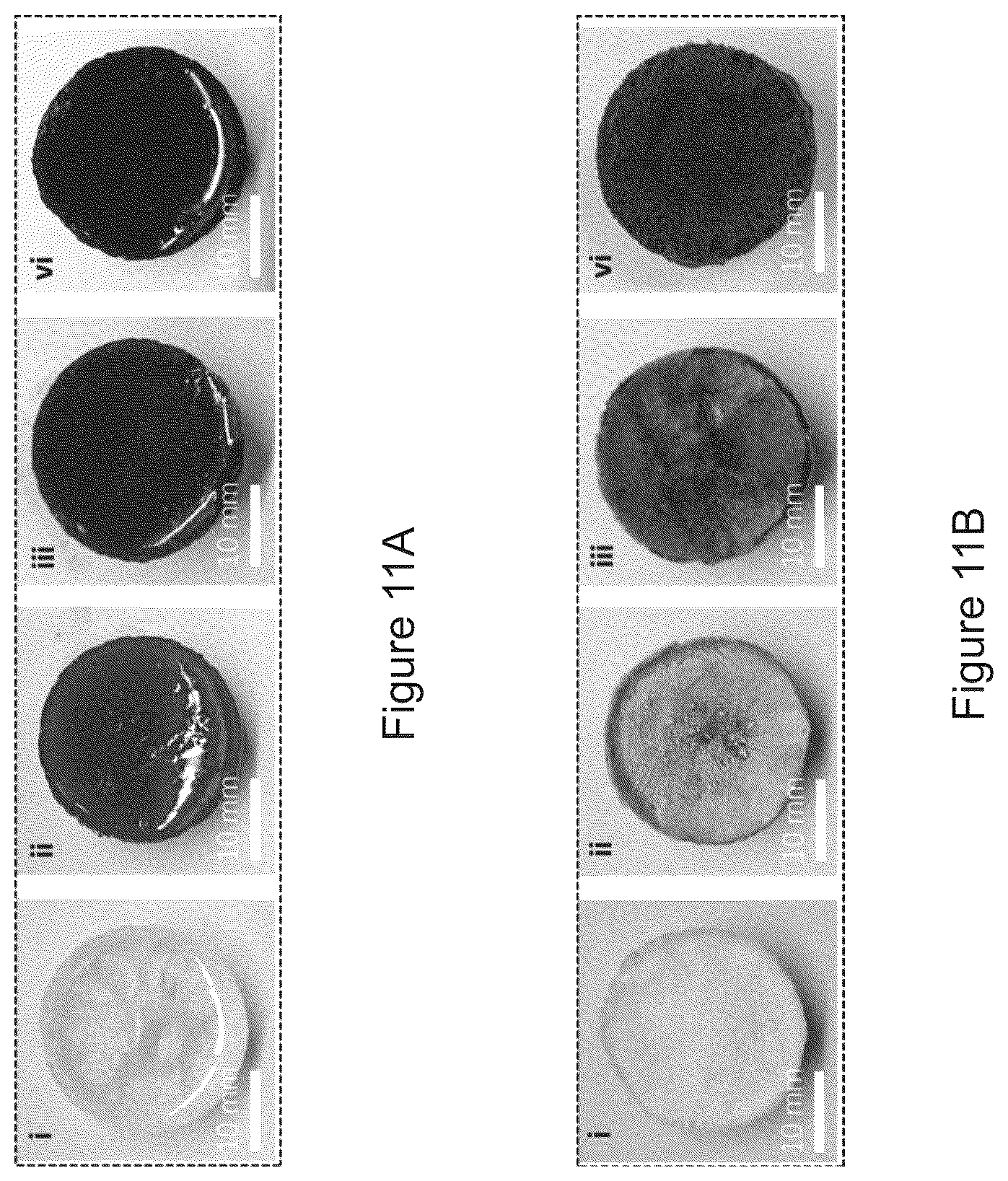 Patent US12157683 Figure 11 – Composite material and a water purifying system